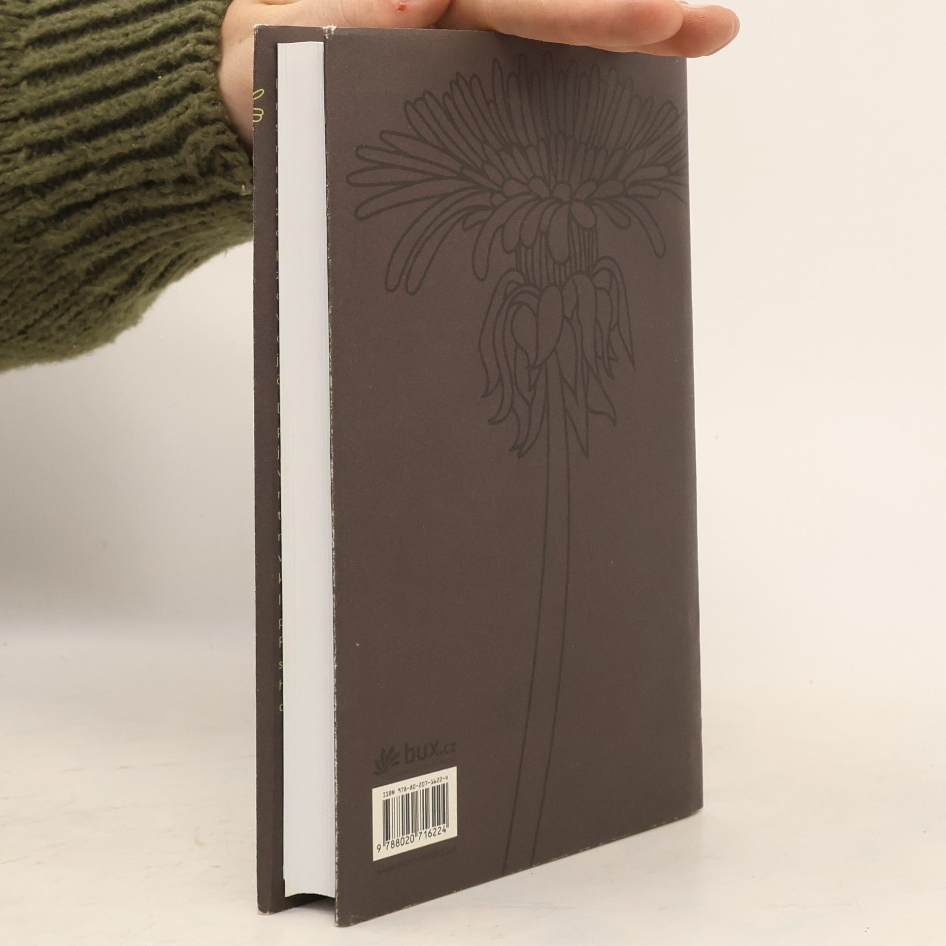 Anna Bolavá Do tmy