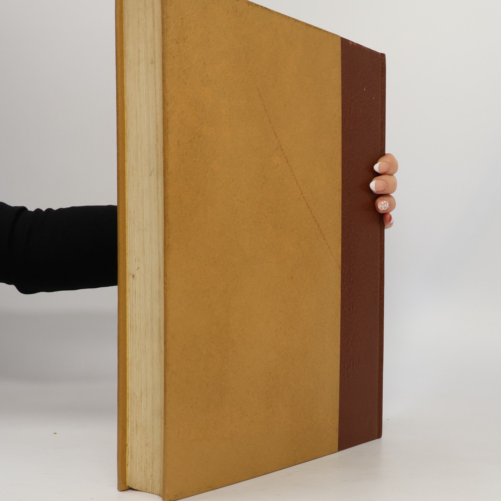 Autores varios Enciclopedia Motta V.