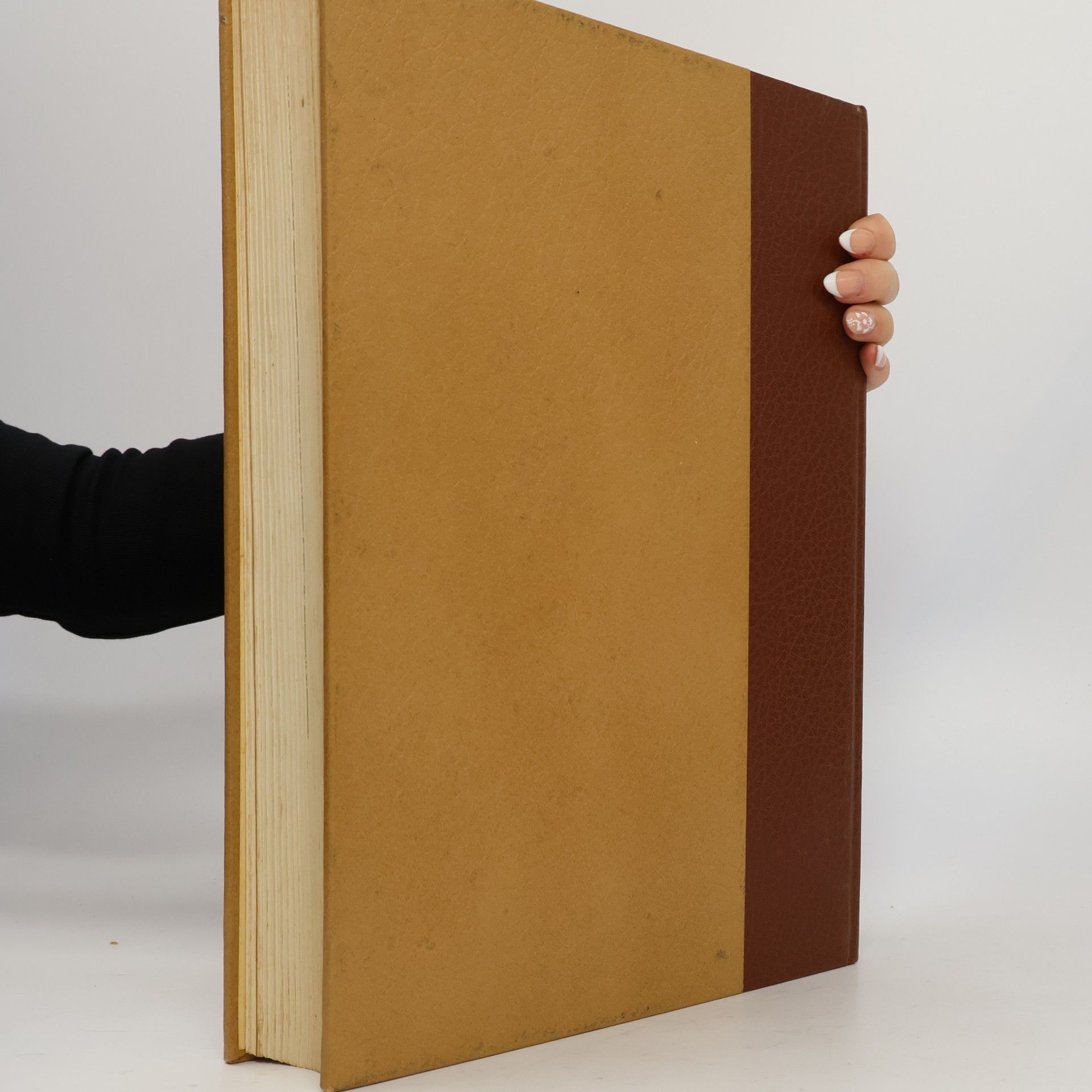 Autores varios Enciclopedia Motta VIII