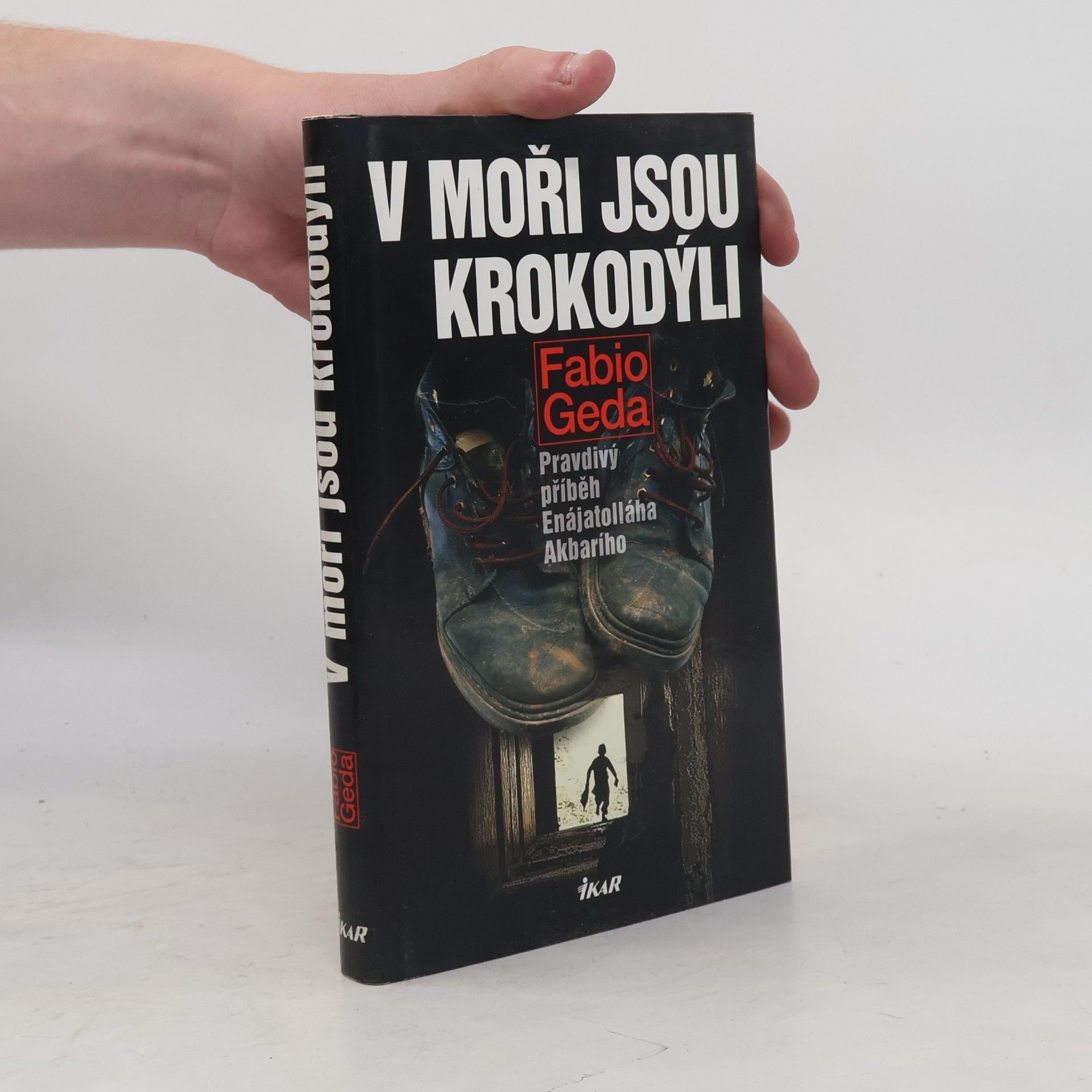 Fabio Geda V moři jsou krokodýli: Pravdivý příběh Enájatolláha Akbarího