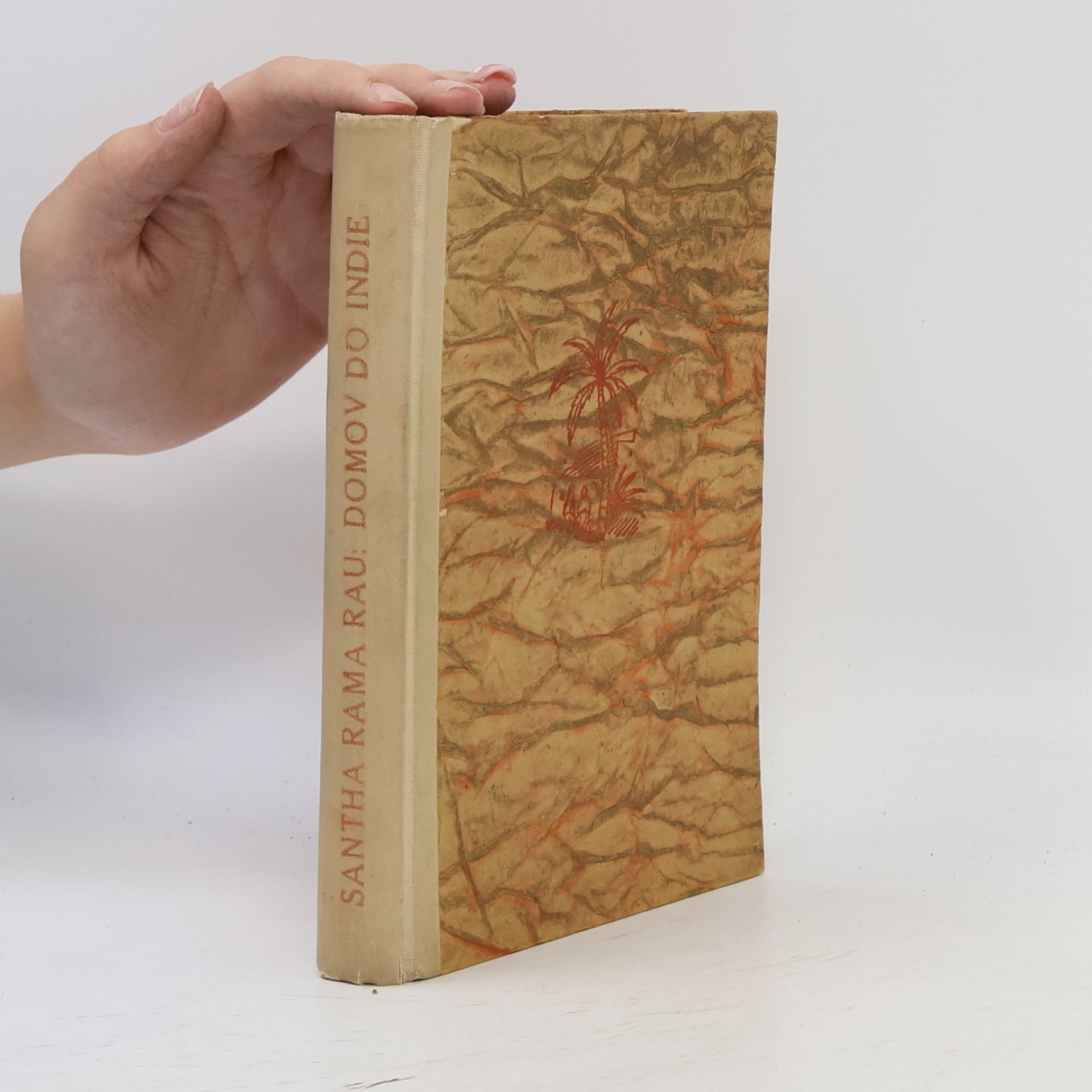 Domov do Indie