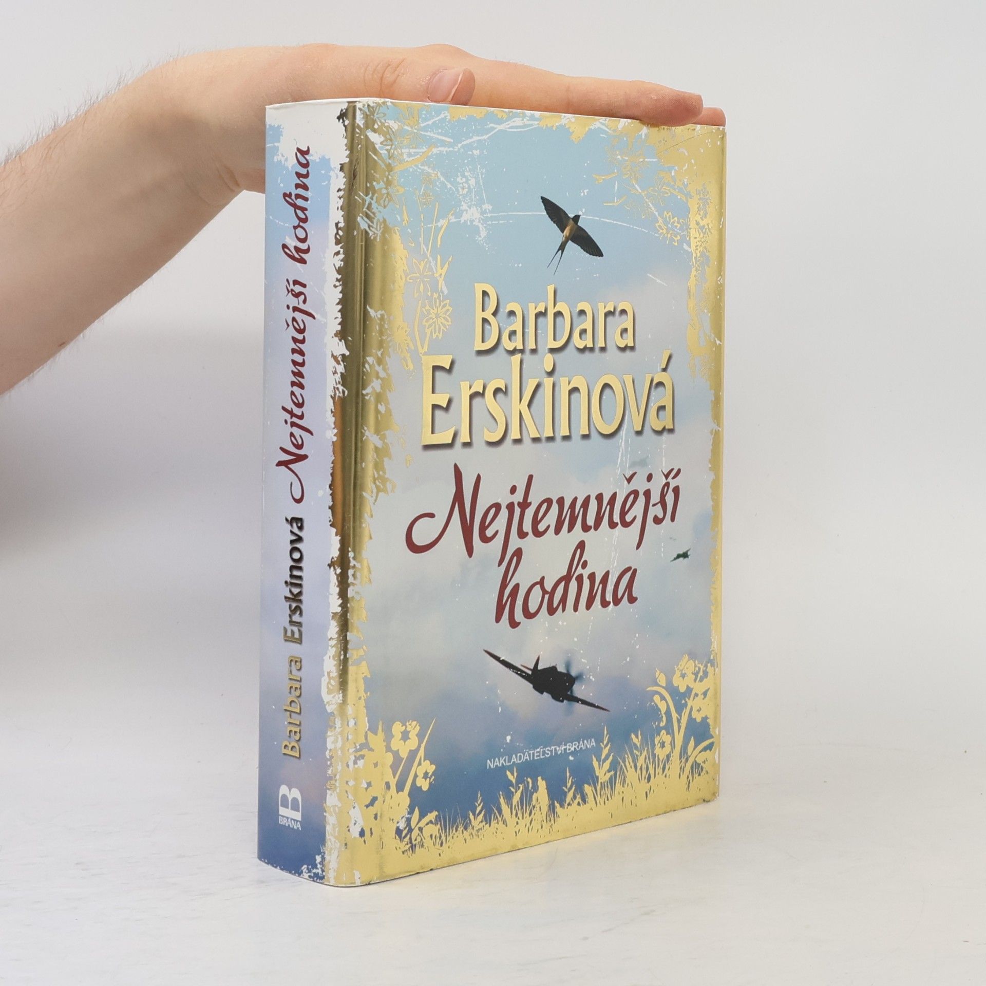 Barbara Erskine Nejtemnější hodina