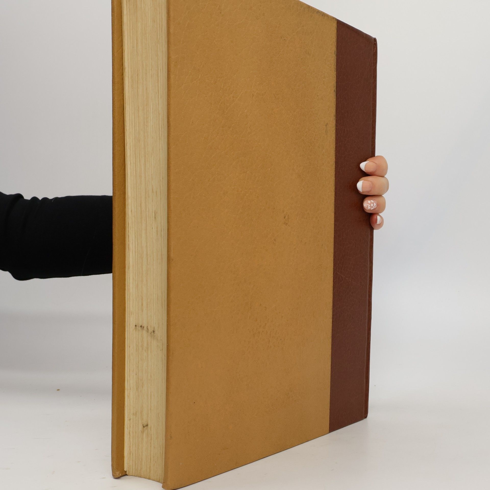 Autores varios Enciclopedia Motta XIV