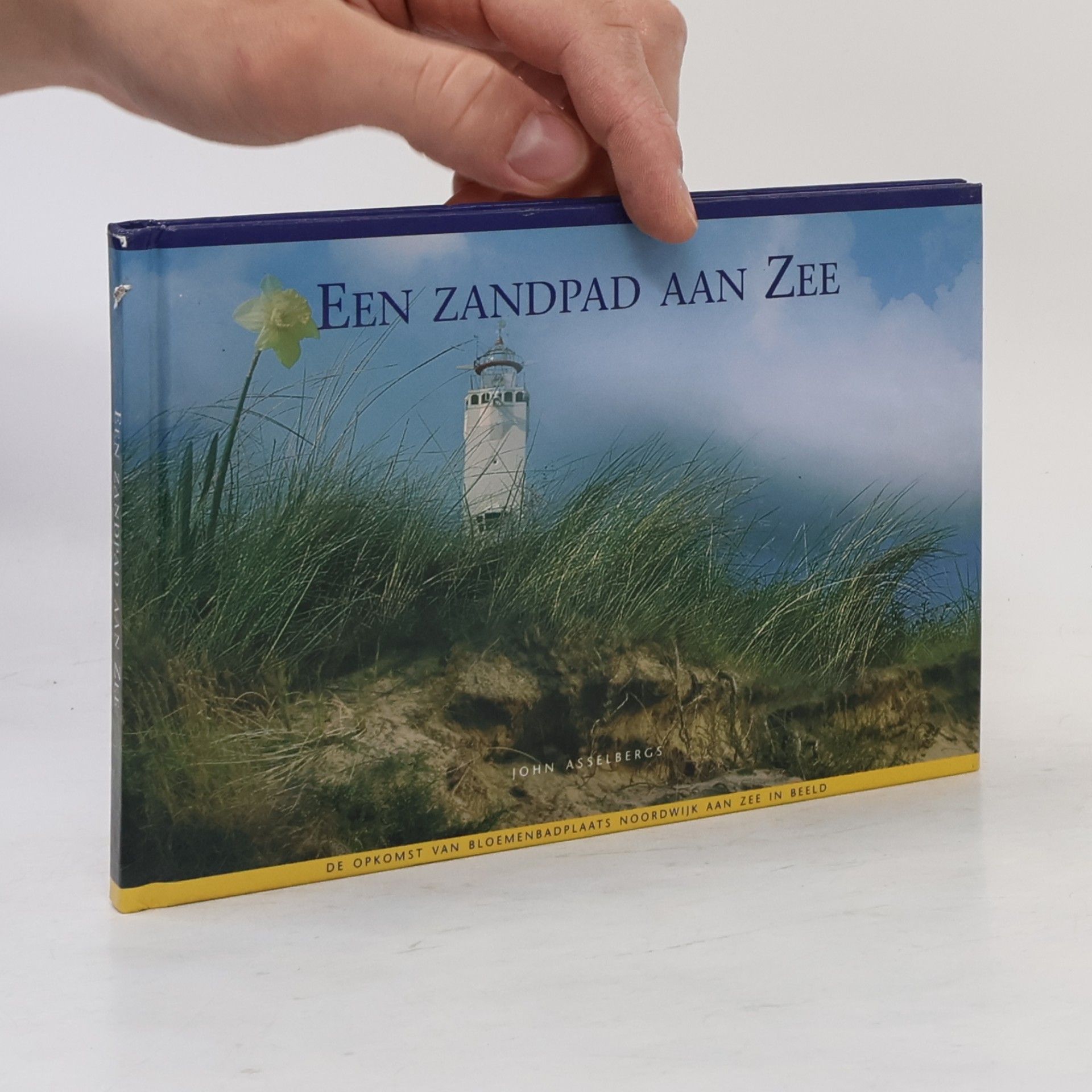 John Asselbergs Een Zandpad aan Zee