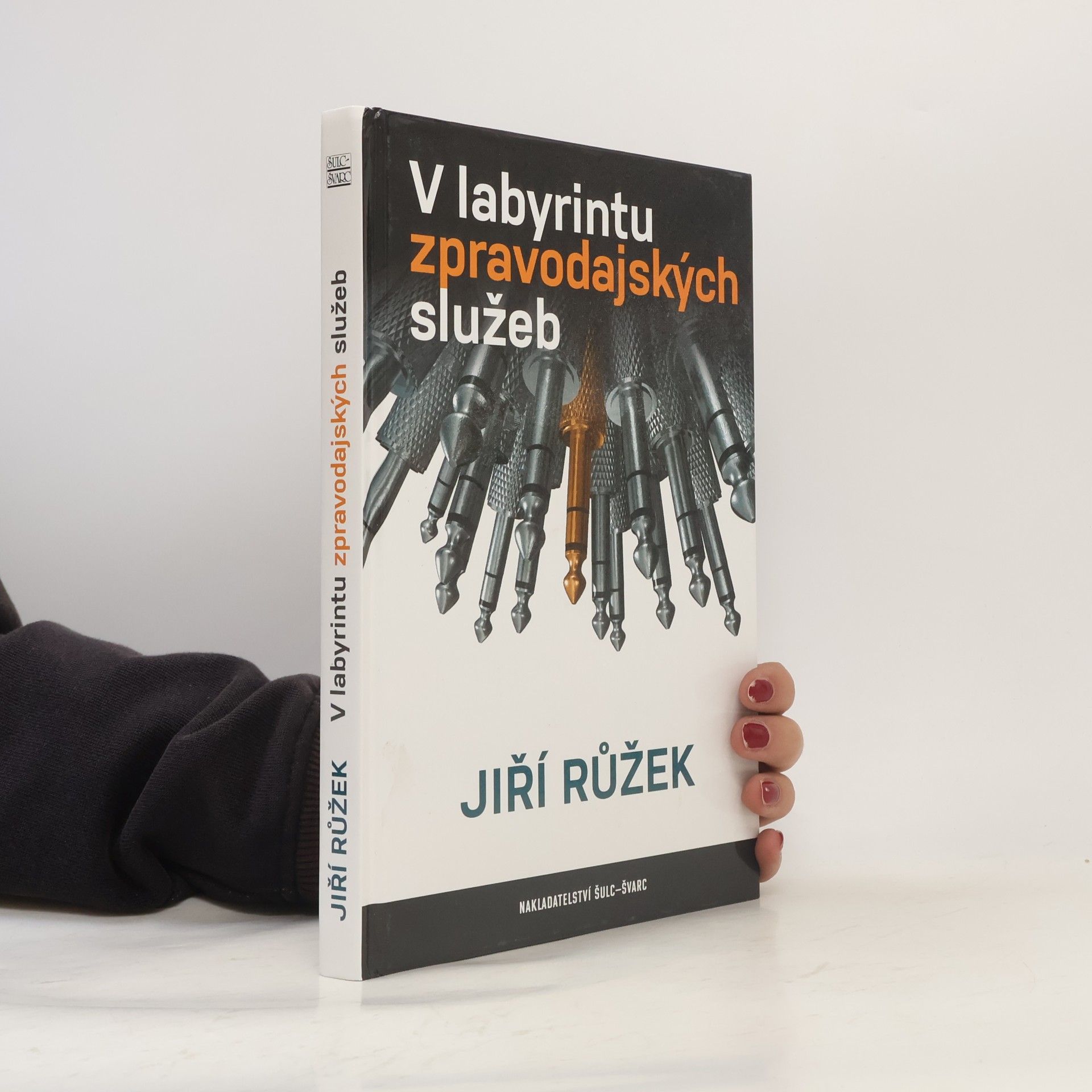 V labyrintu zpravodajských služeb