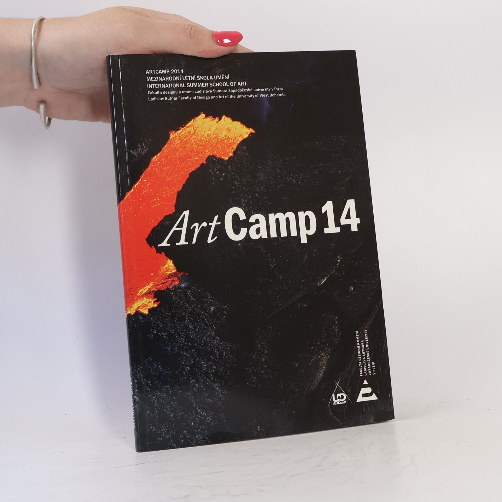 Collectif d'auteurs International Summer School of Art 2011