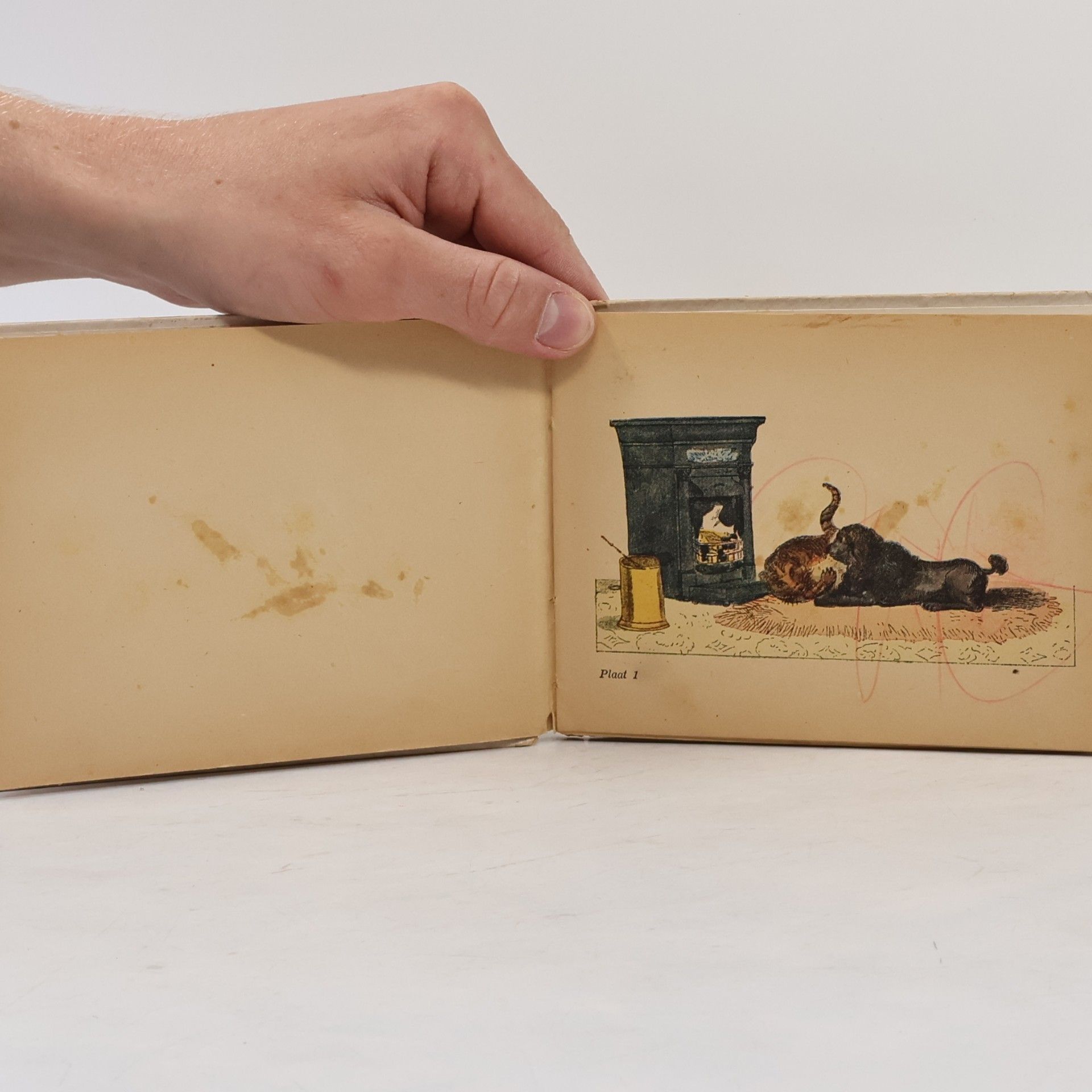 Autores varios De geschiedenis van mijnheer Kardoes en mejuffrouw Muizenschrik