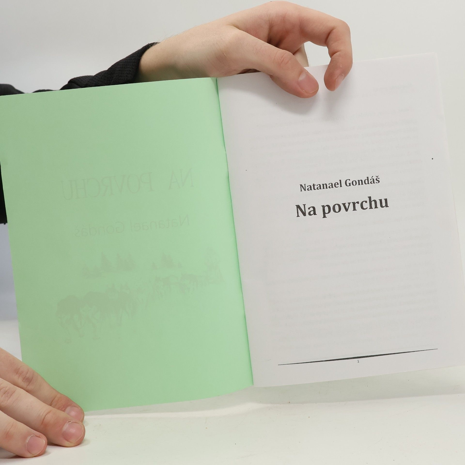 Natanael Gondáš Na povrchu