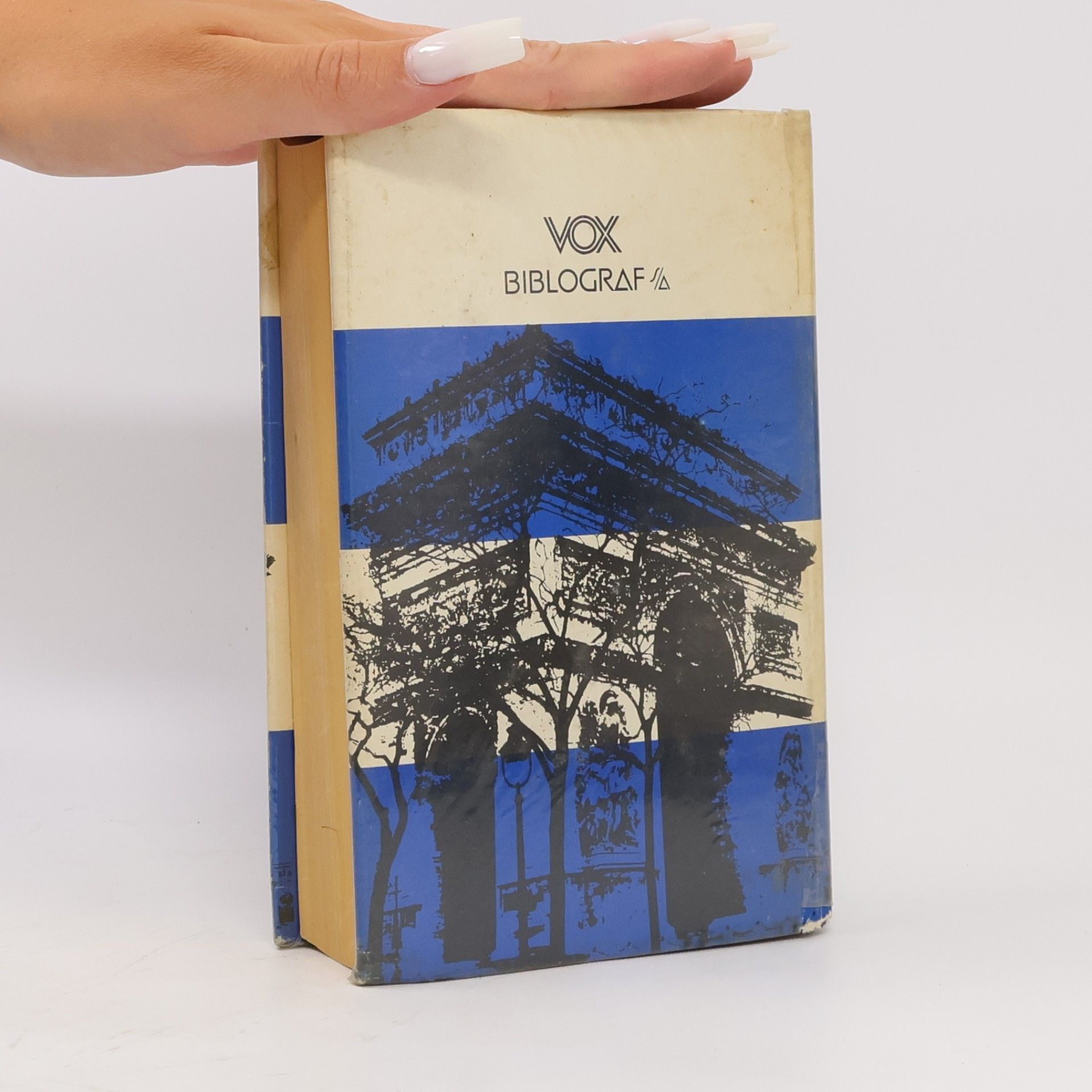 Collectif d'auteurs Diccionario Manual Francés-Español / Español-Francés