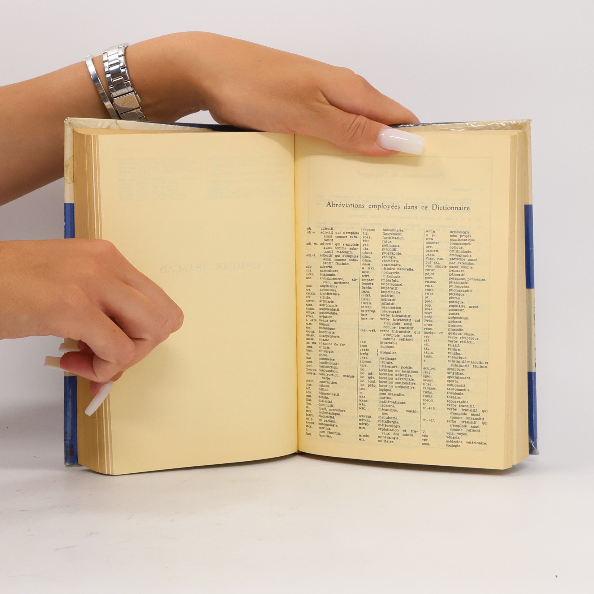 Collectif d'auteurs Diccionario Manual Francés-Español / Español-Francés