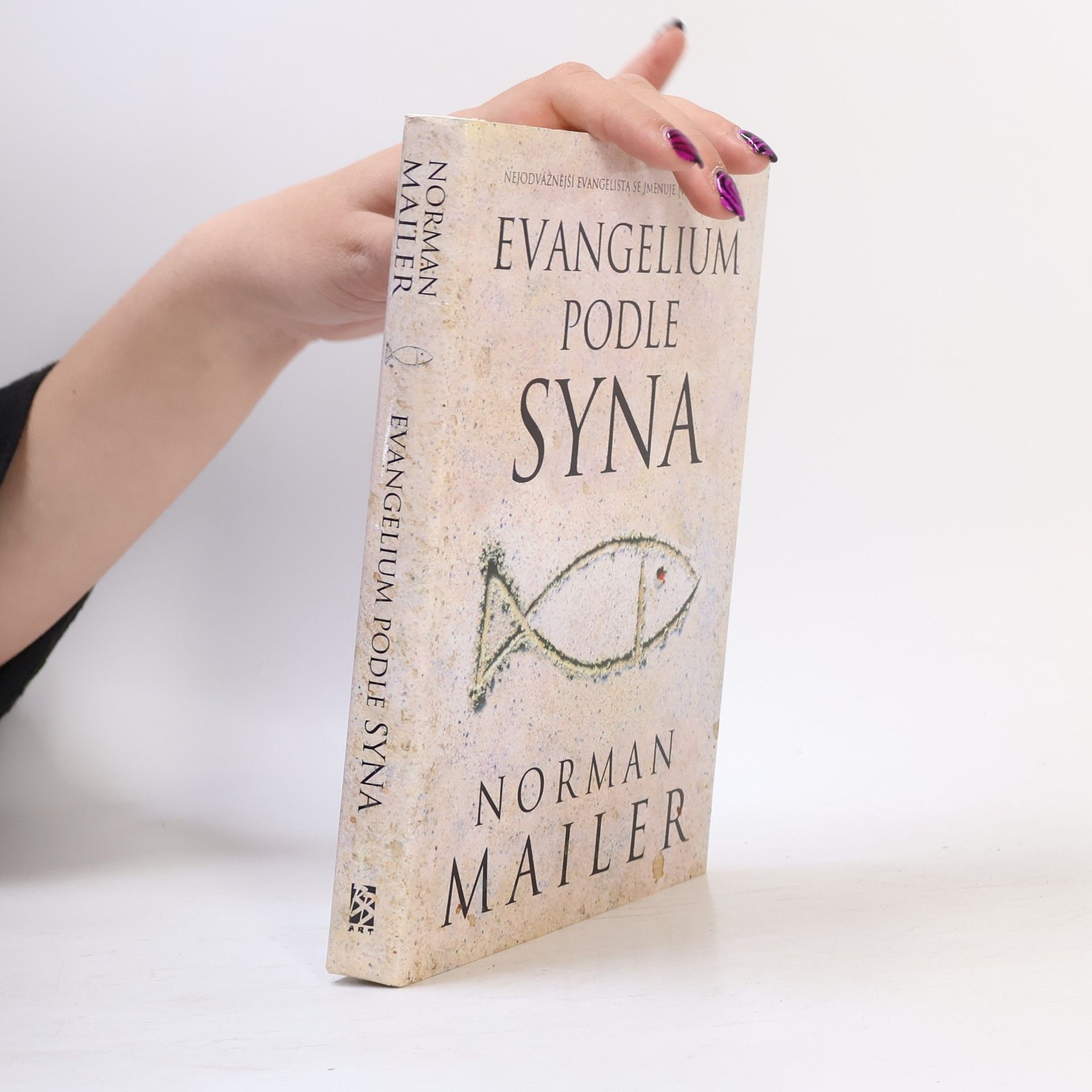 Norman Mailer Evangelium podle syna
