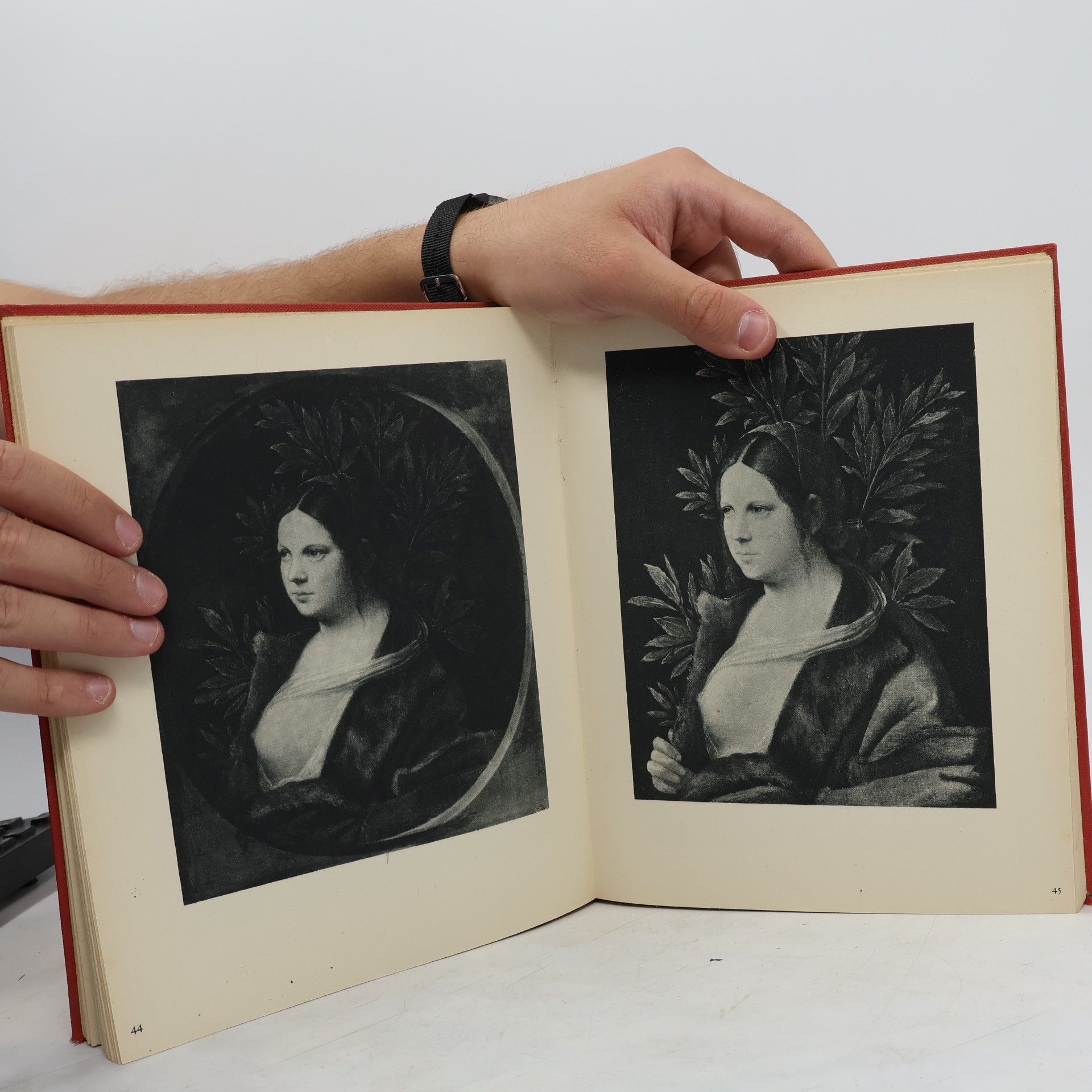 Giuseppe Fiocco Giorgione