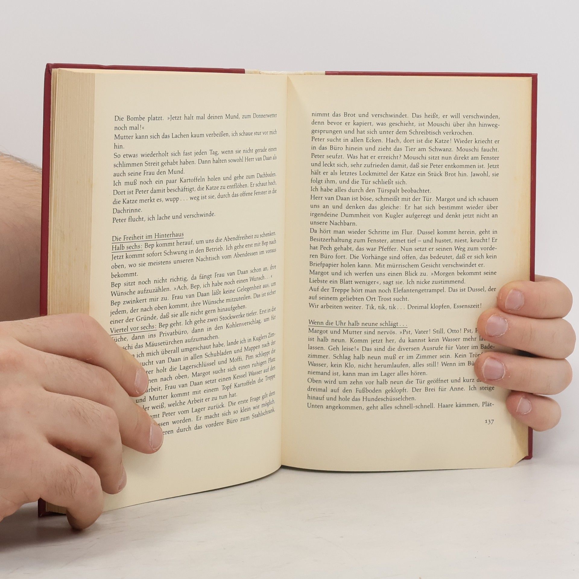 Anne Frank Tagebuch