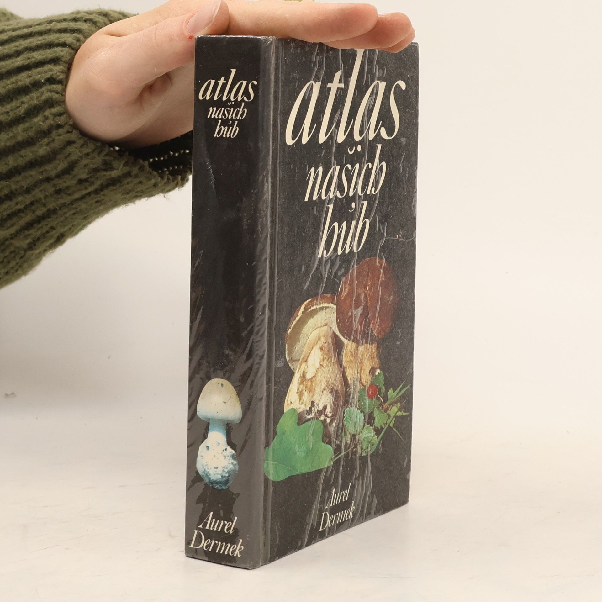 Aurel Dermek Atlas našich húb