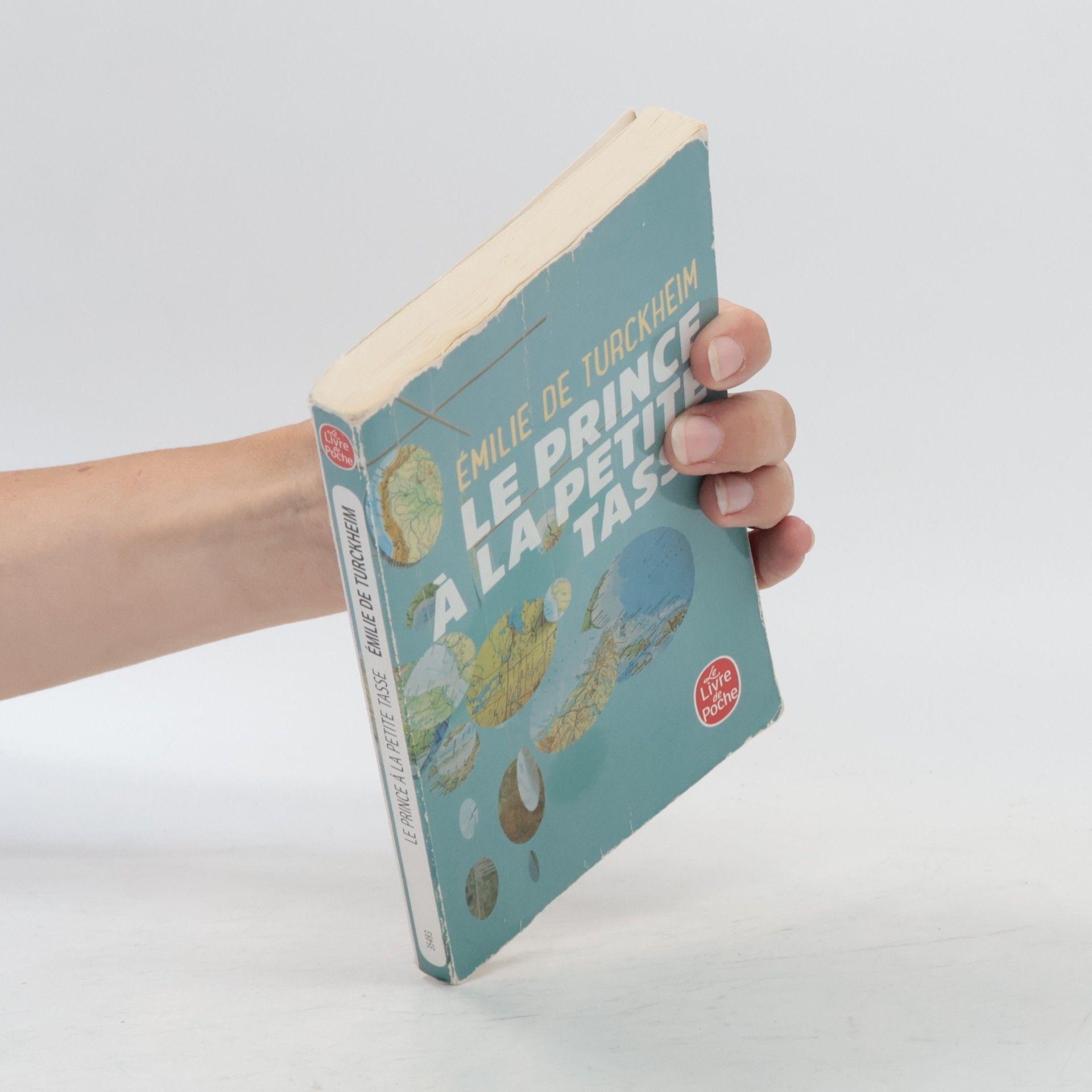 Émilie de Turckheim Le Livre de Poche: Le Prince à la petite tasse