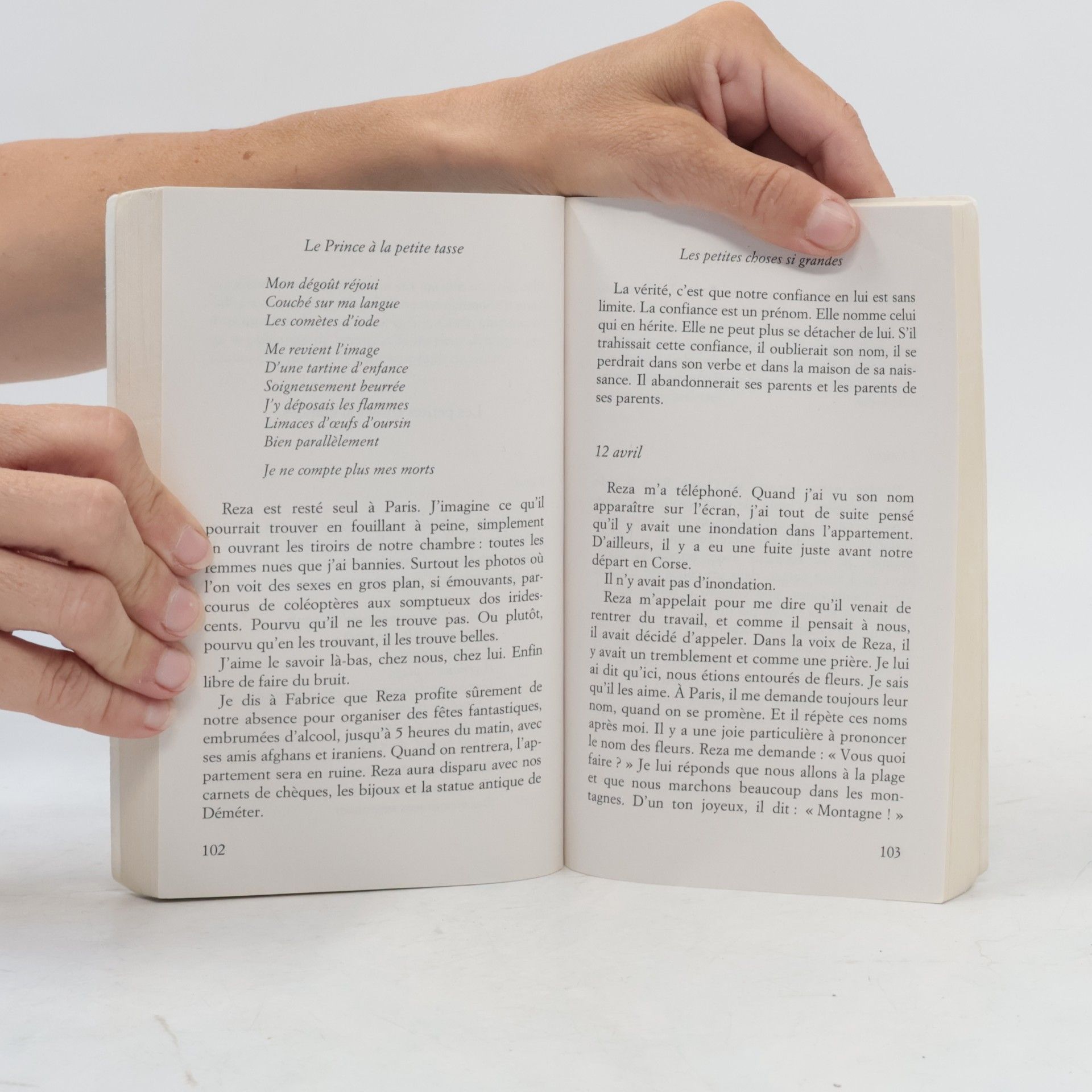Émilie de Turckheim Le Livre de Poche: Le Prince à la petite tasse