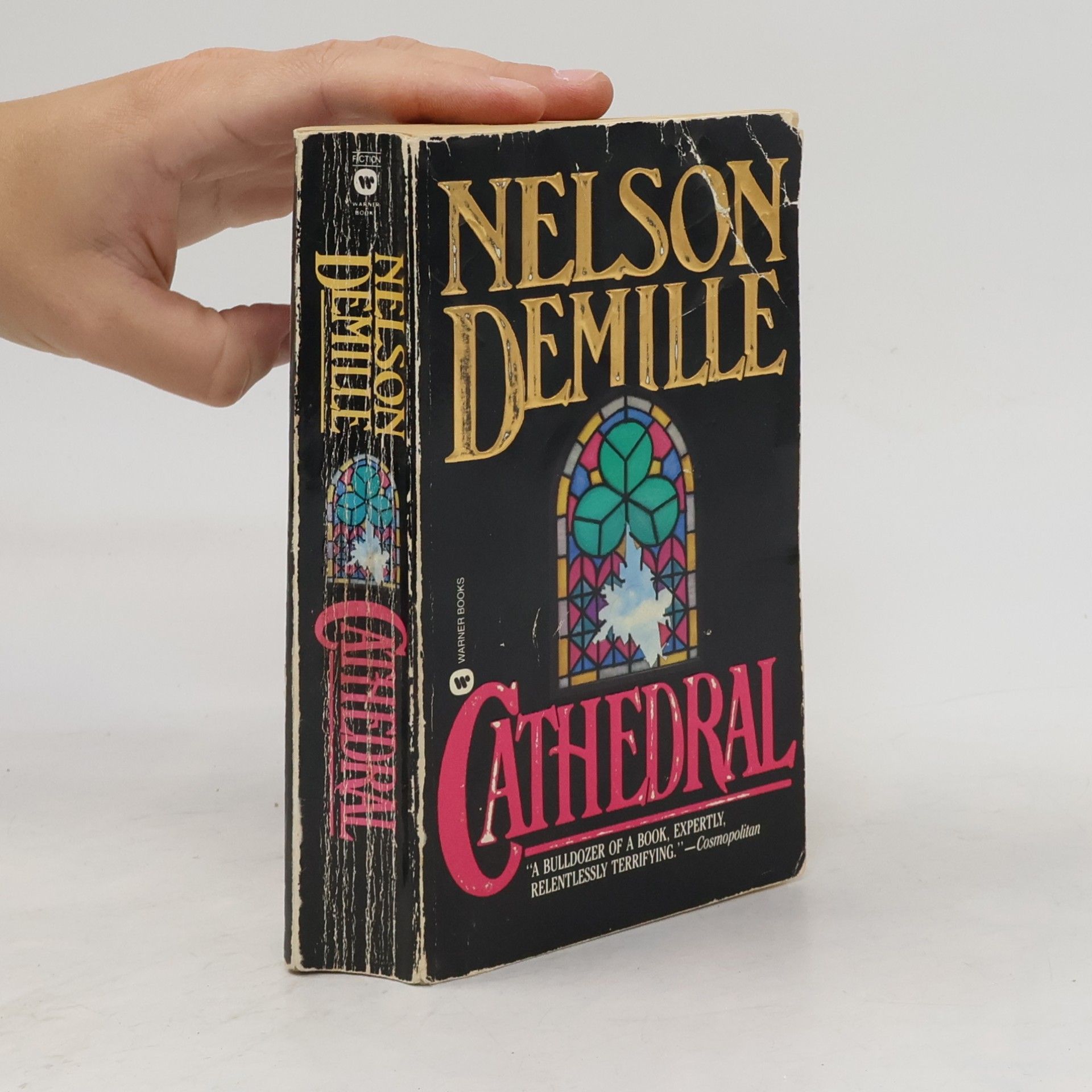 Nelson DeMille Cathedral