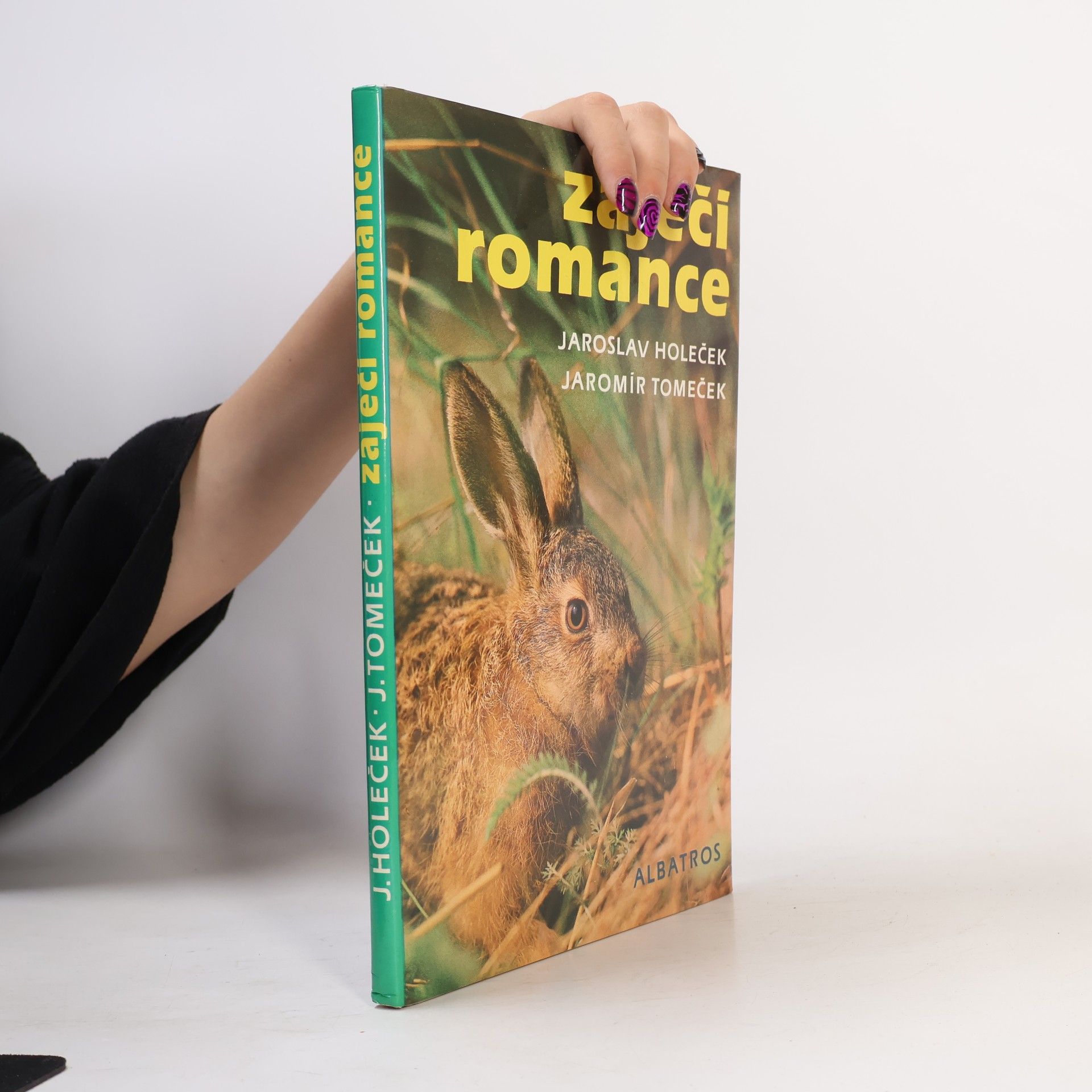 Jaroslav Holeček Zaječí romance