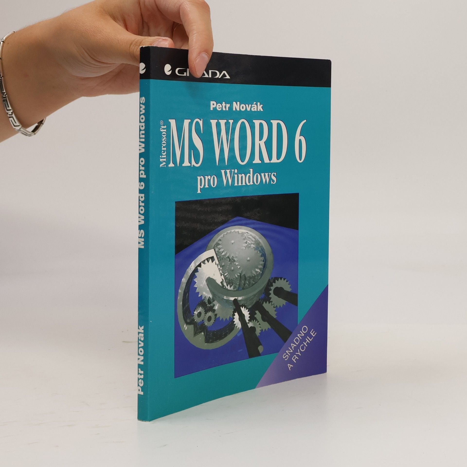Petr Novák MS Word 6 pro Windows