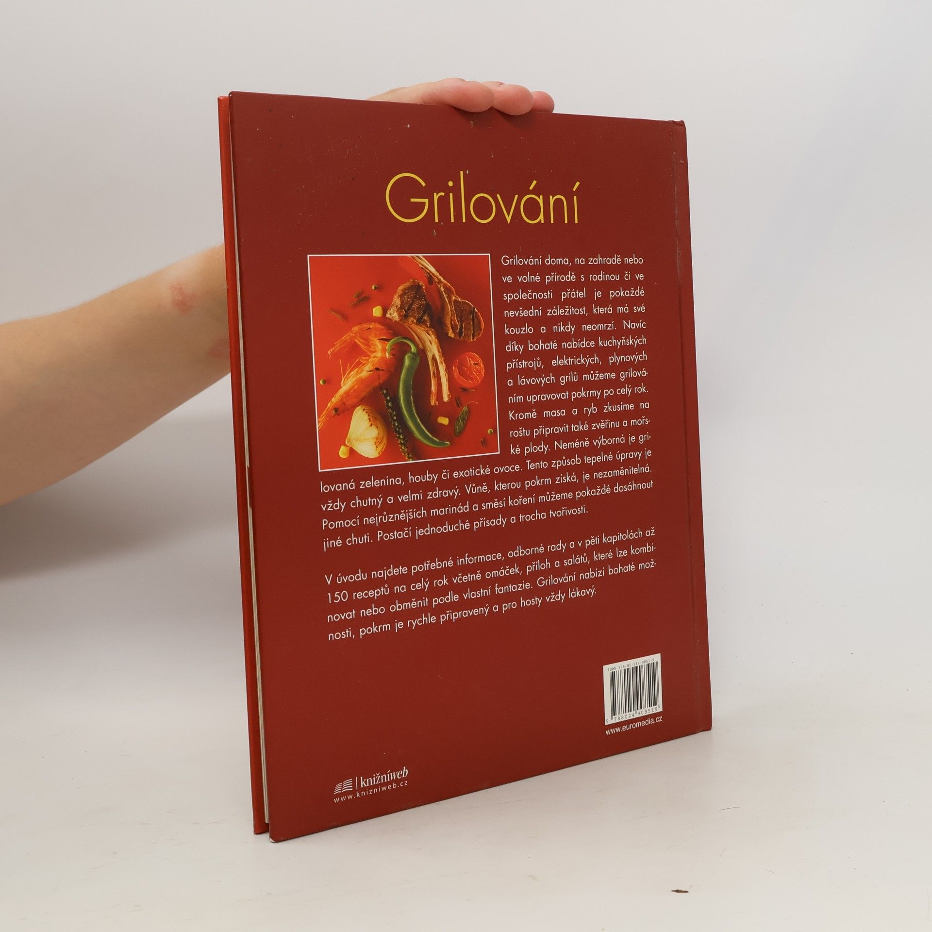 Autores varios Grilování
