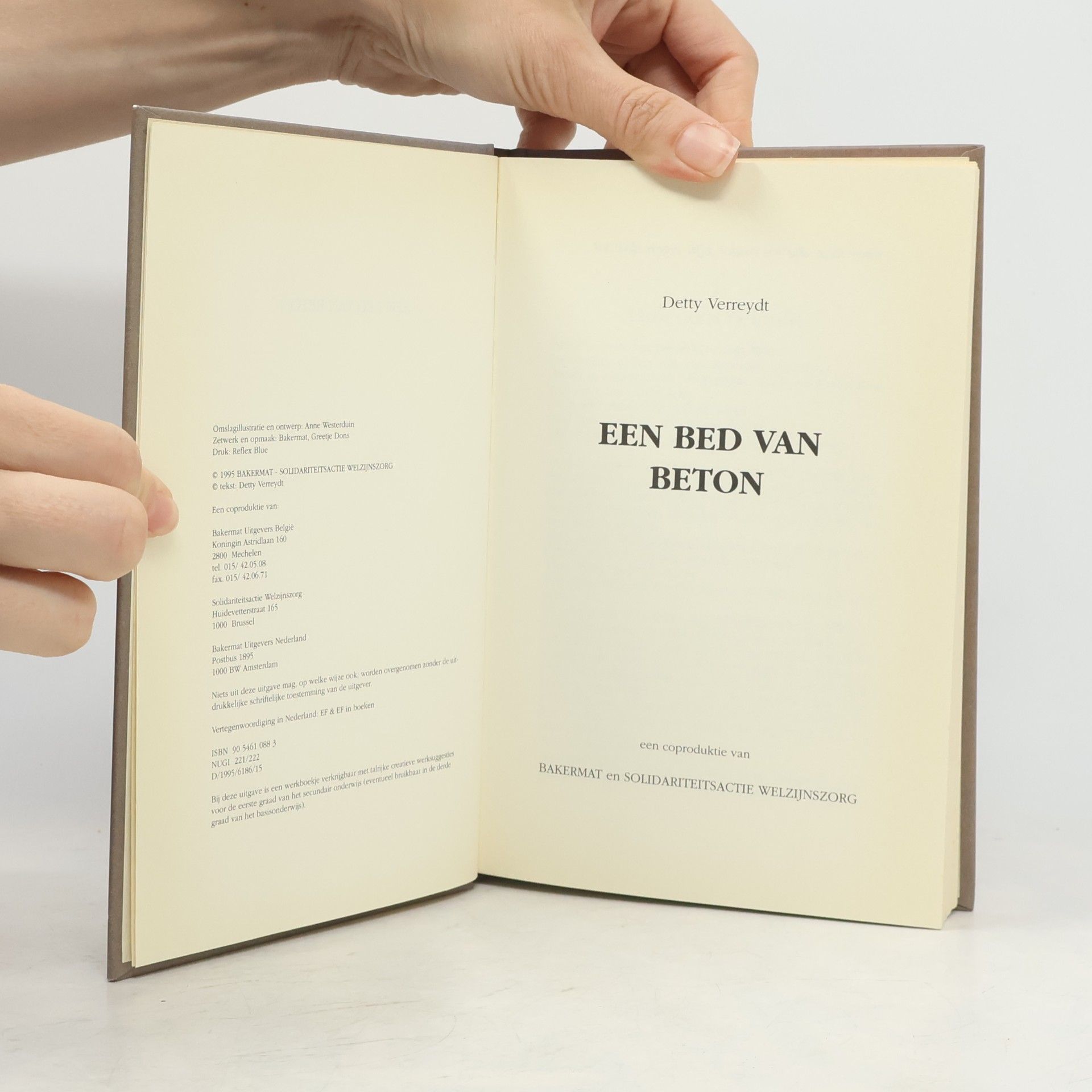 Detty Verreydt Een bed van beton