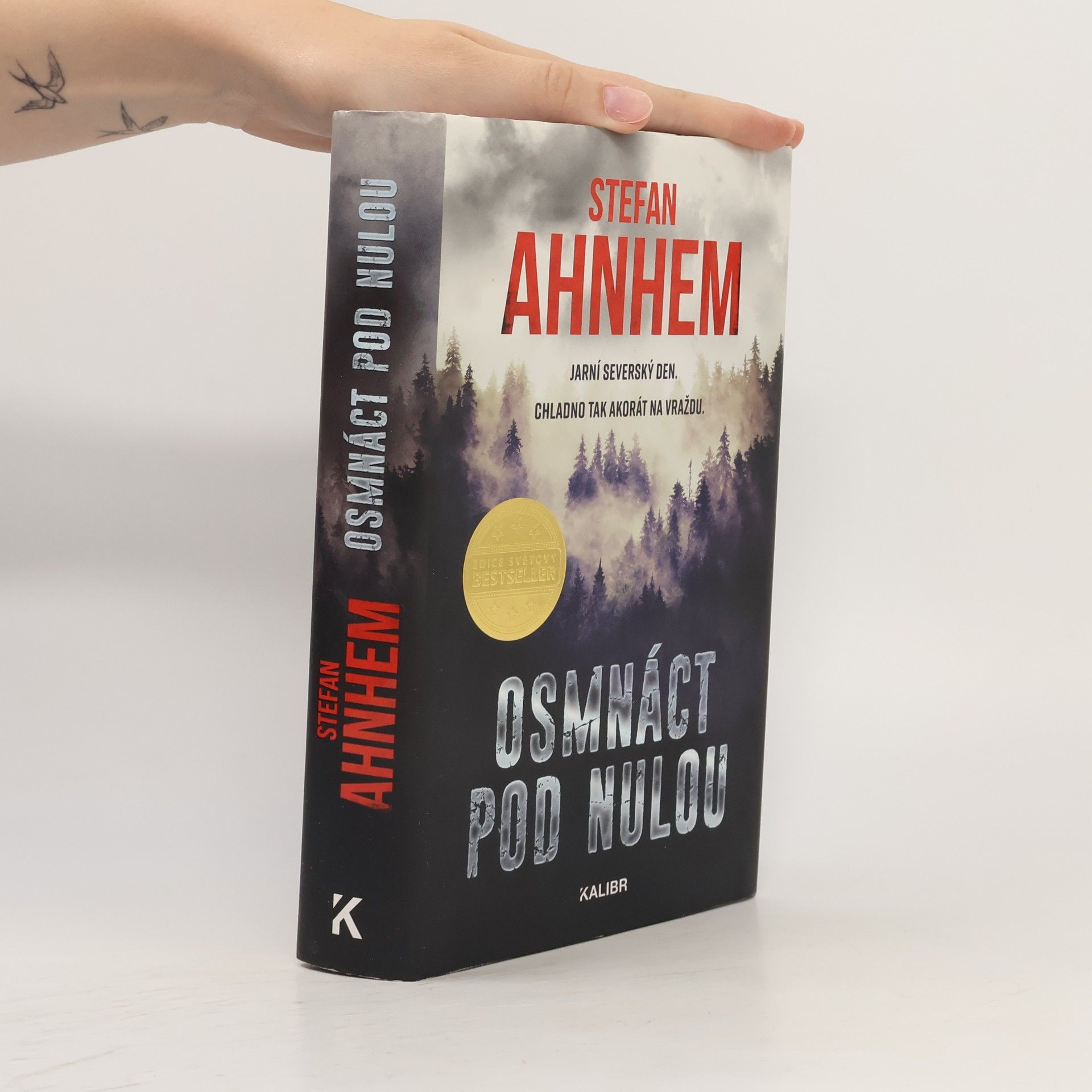 Stefan Ahnhem Osmnáct pod nulou