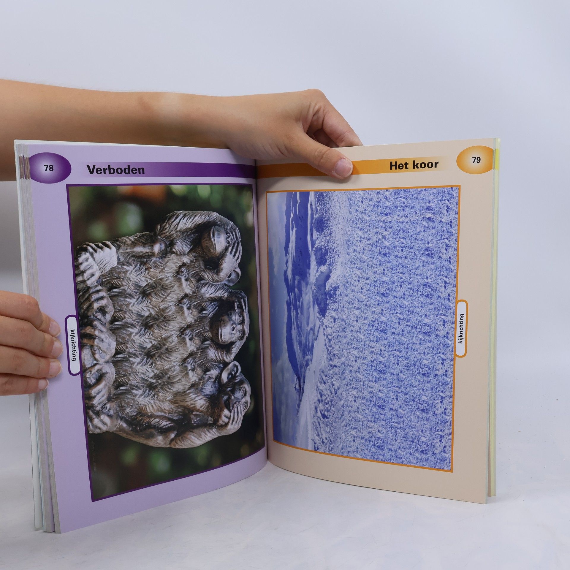 Gene Levine Ongelooflijke optische illusies in 3D