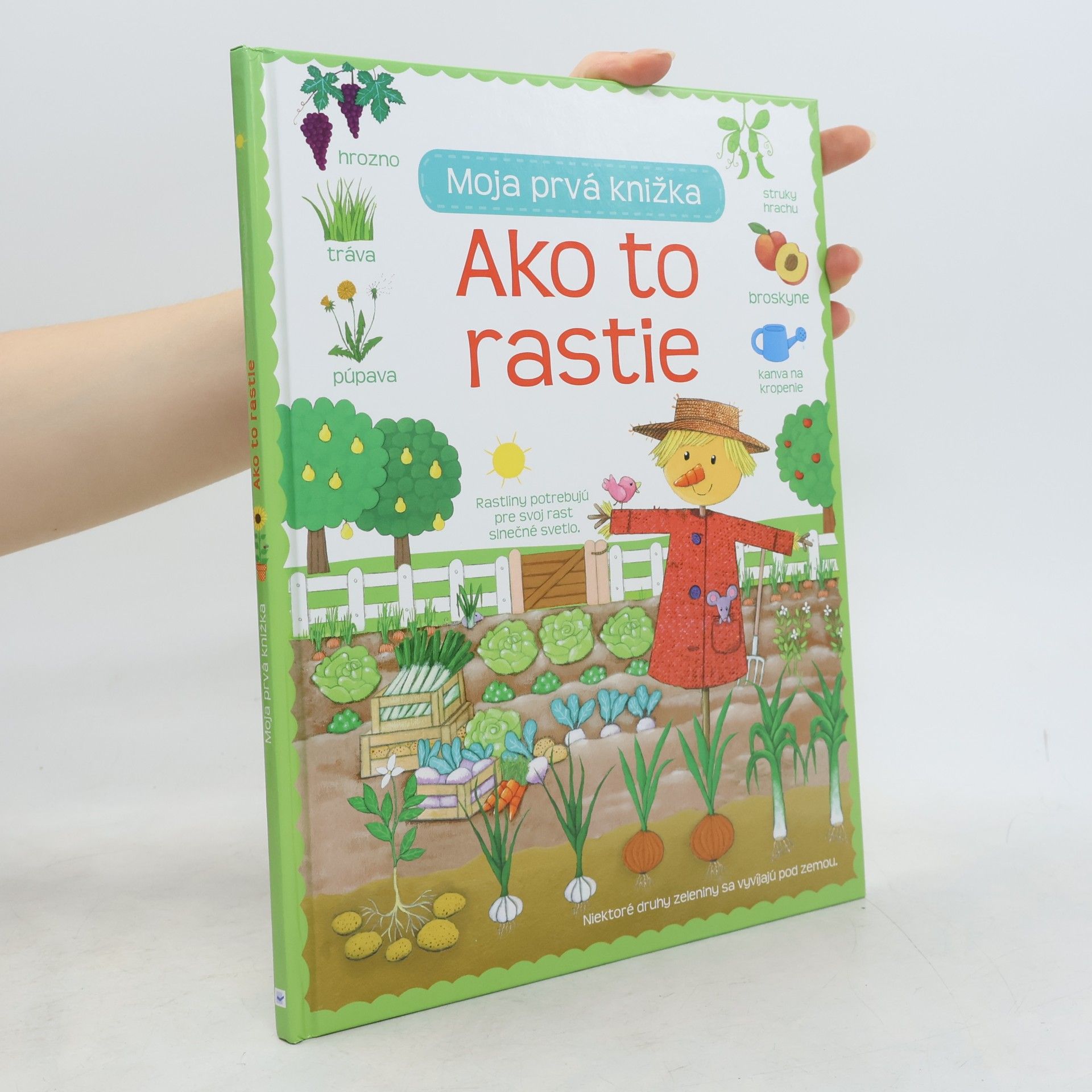 Collectif d'auteurs Ako to rastie