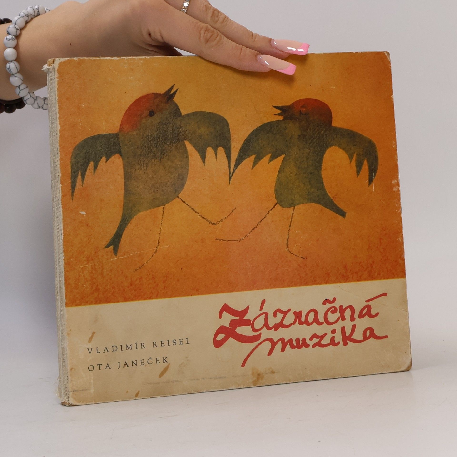 Vladimír Reisel Zázračná muzika