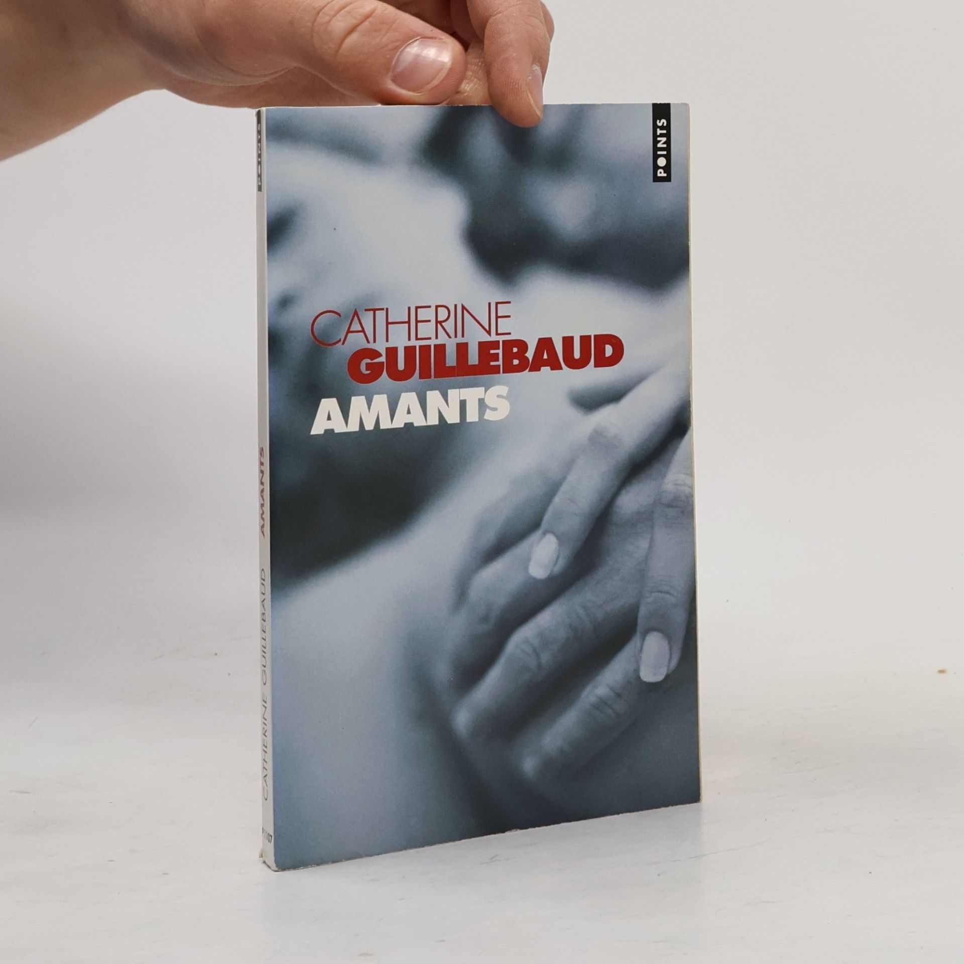 Catherine Guillebaud Amants