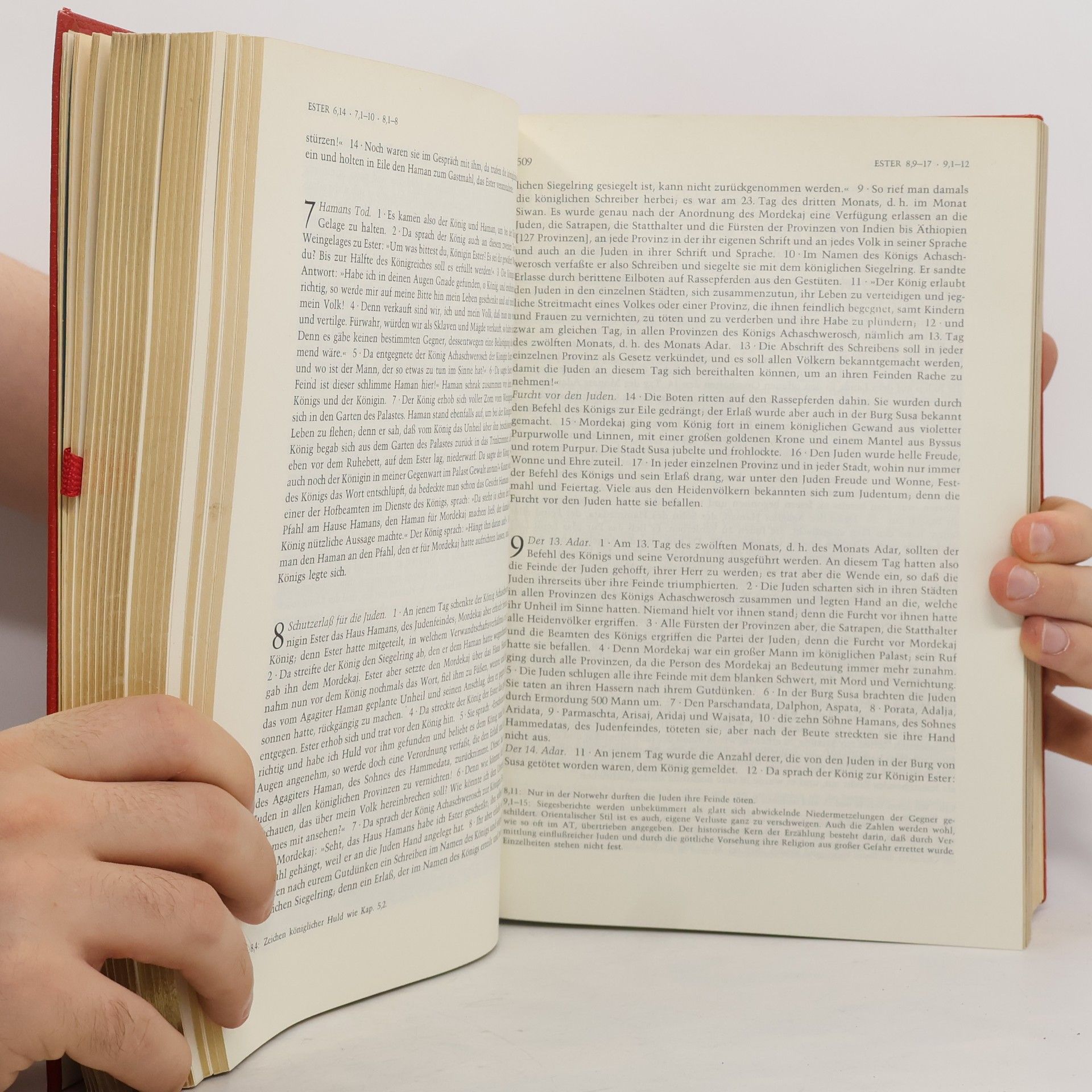 Autorenkollektiv Die Bibel
