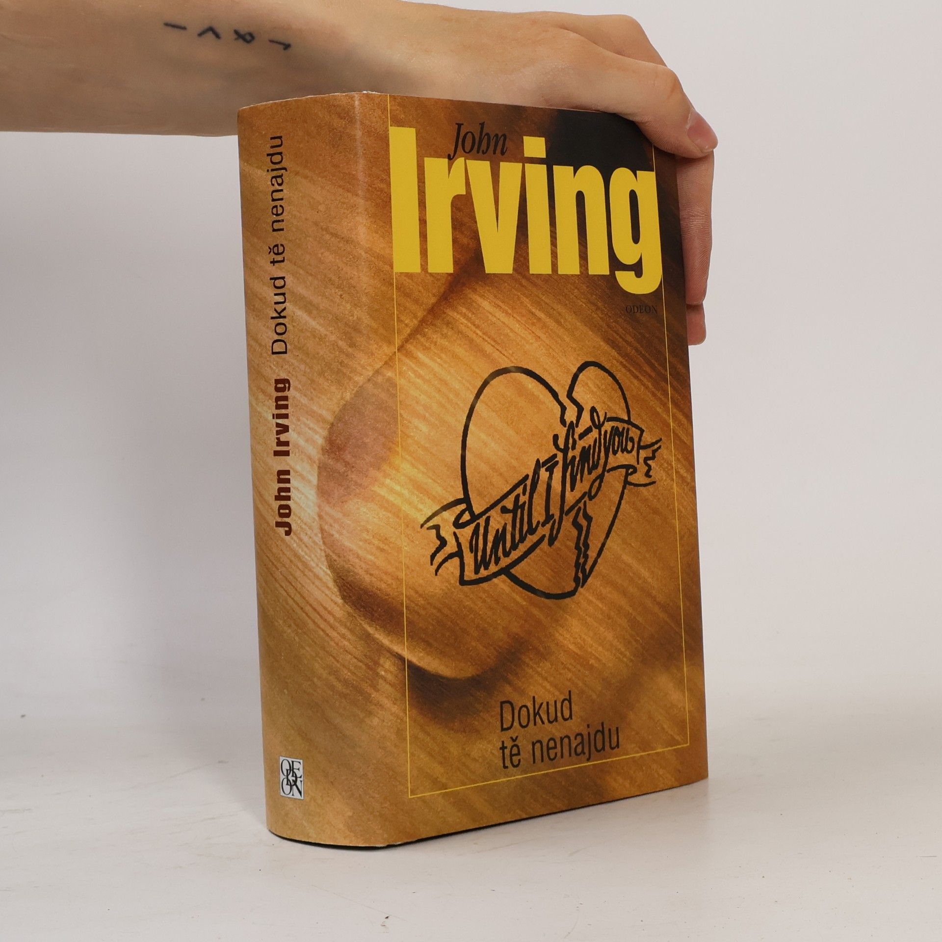 John Irving Dokud tě nenajdu