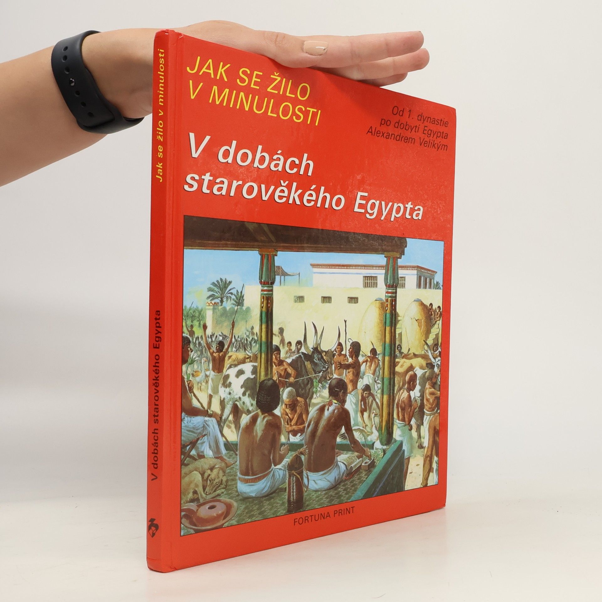 Pierre Probst Jak se žilo v minulosti. V dobách starověkého Egypta