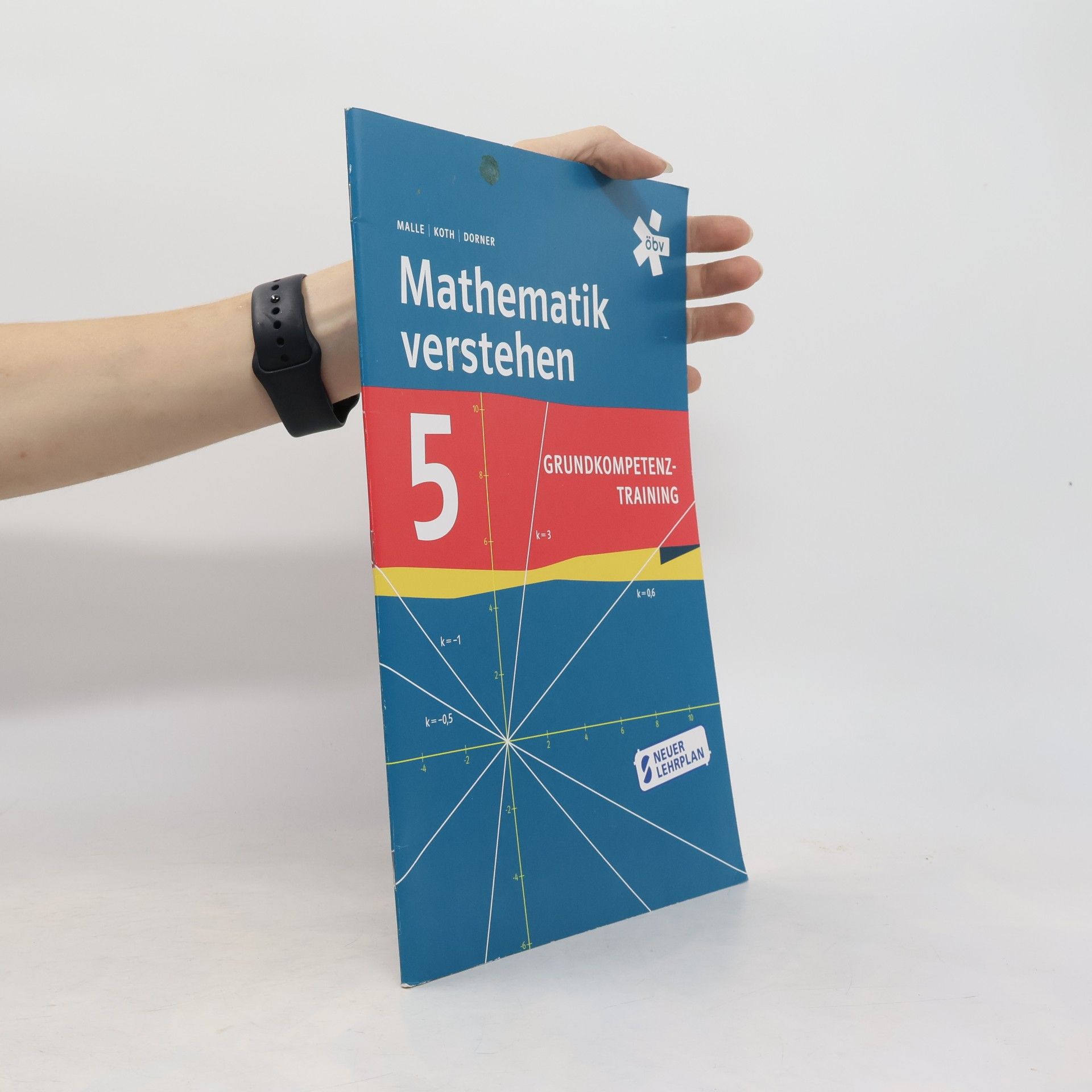 Günther Malle Mathematik verstehen