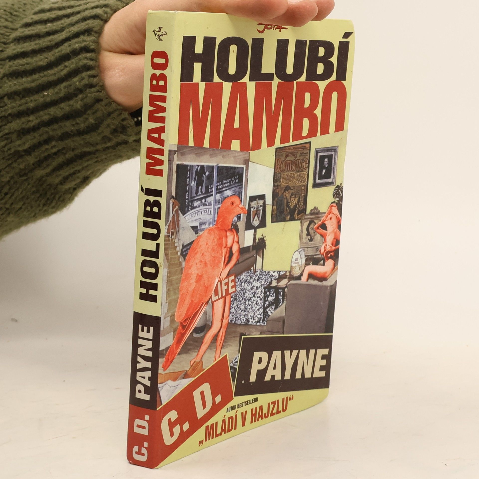 Tamara Váňová Holubí mambo