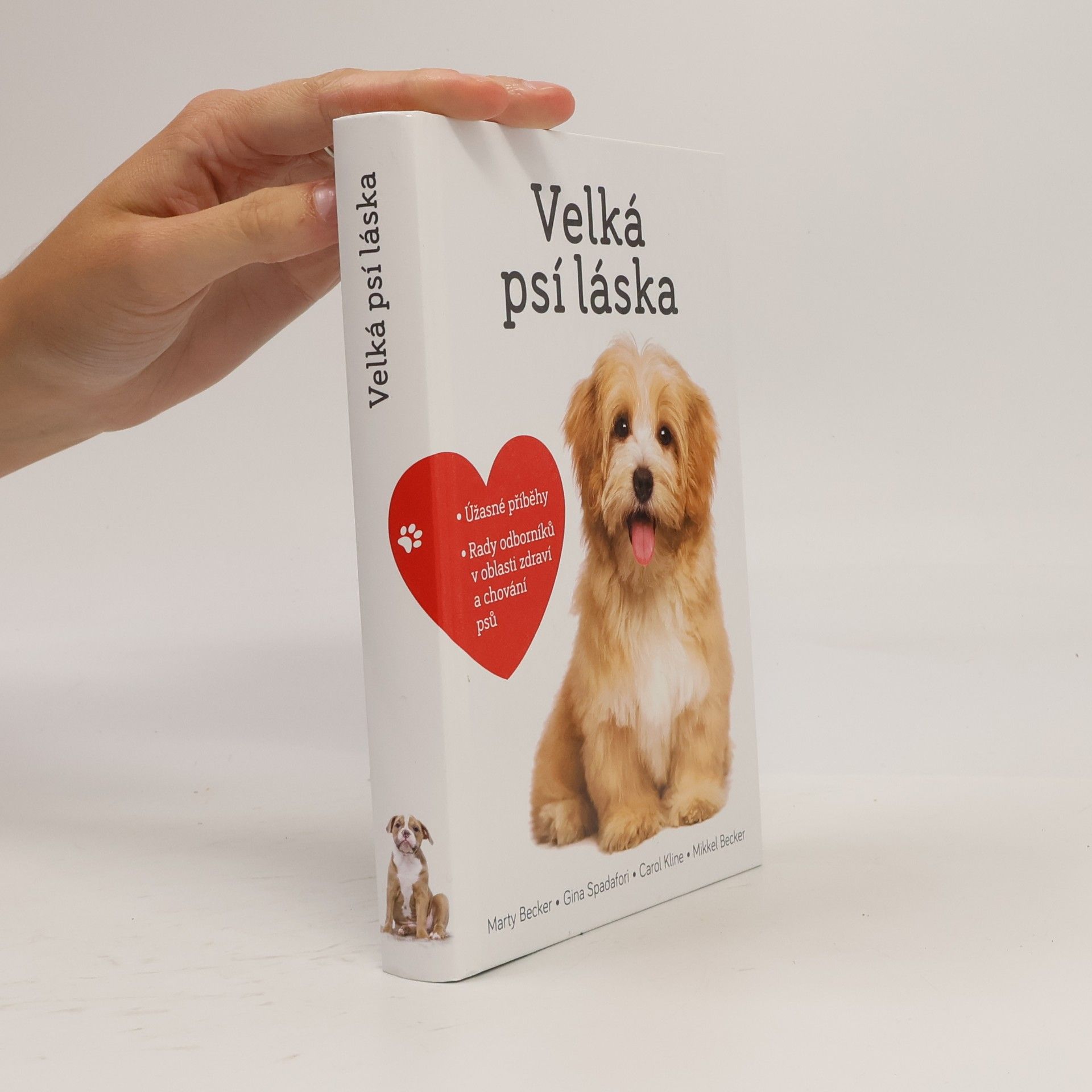 Velká psí láska: Příběhy, rady a úžasné fotografie psích bytostí