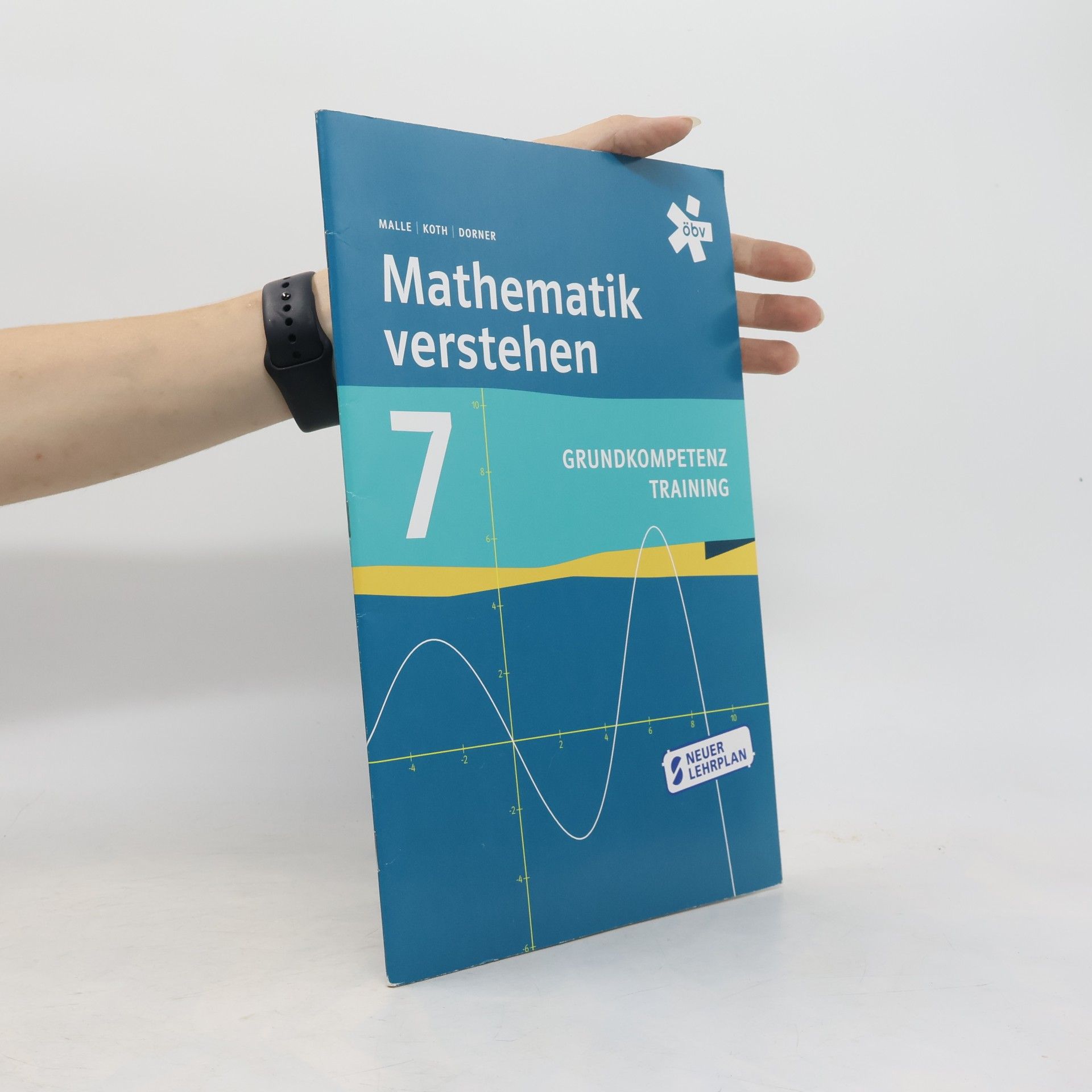 Günther Malle Mathematik verstehen