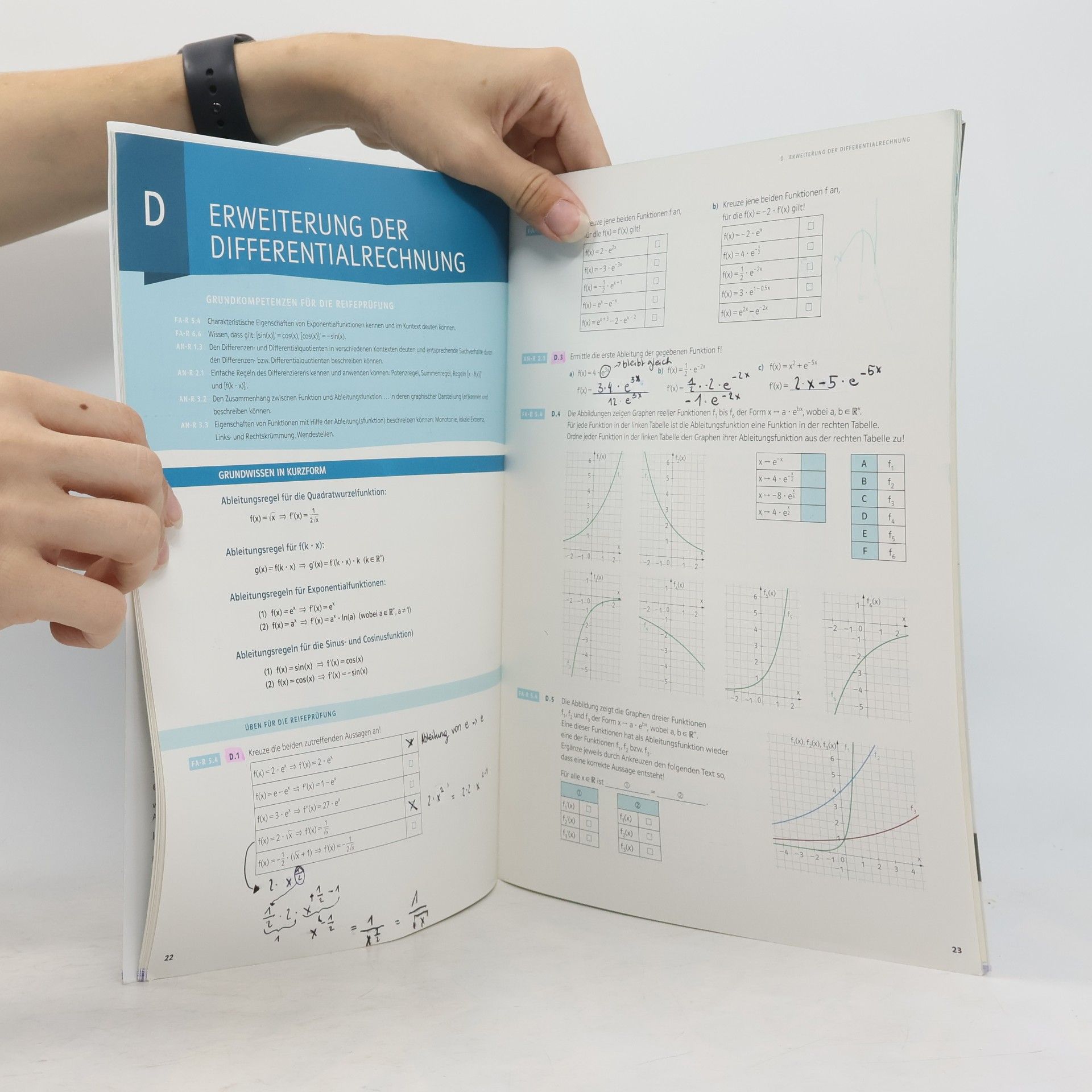 Günther Malle Mathematik verstehen