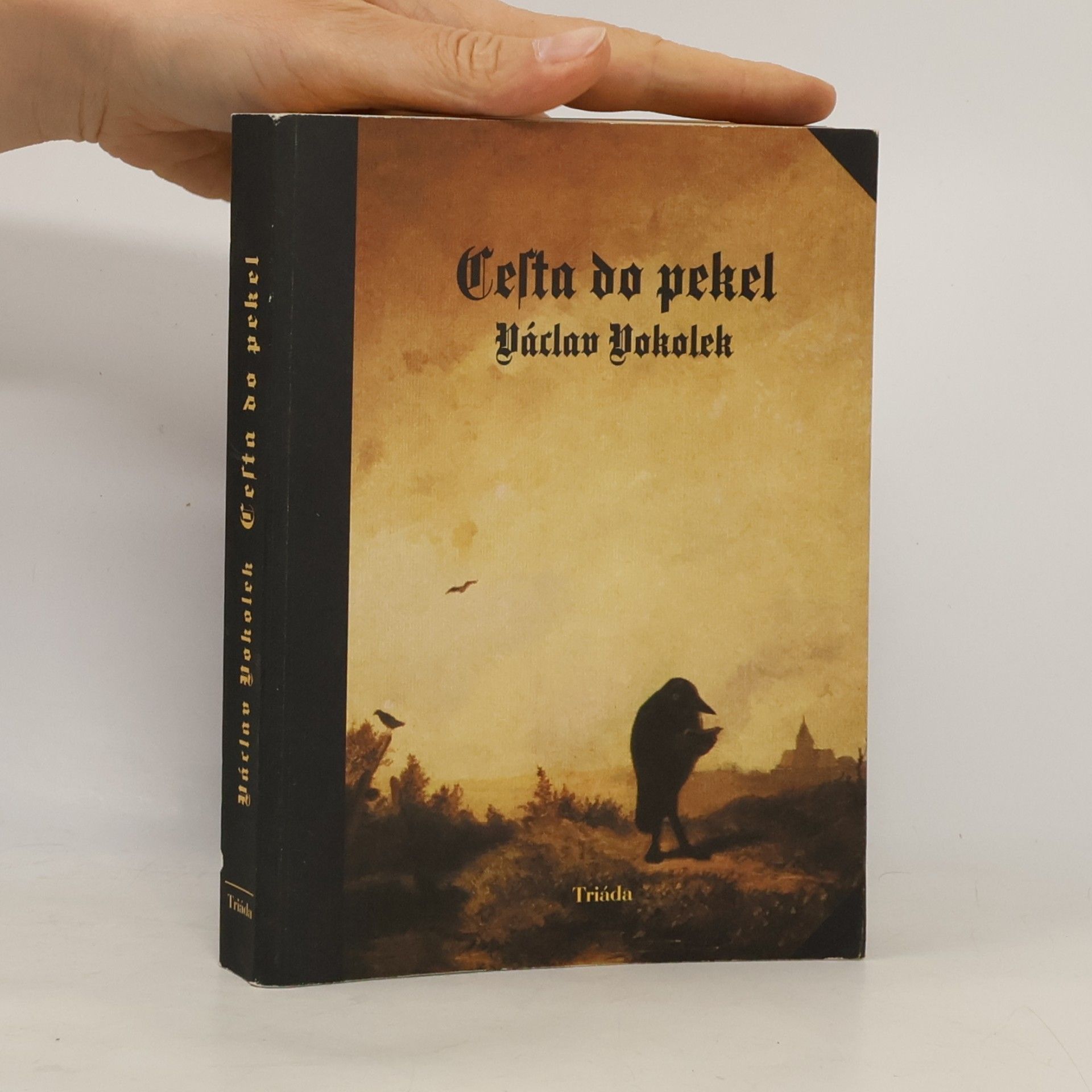 Václav Vokolek Cesta do pekel