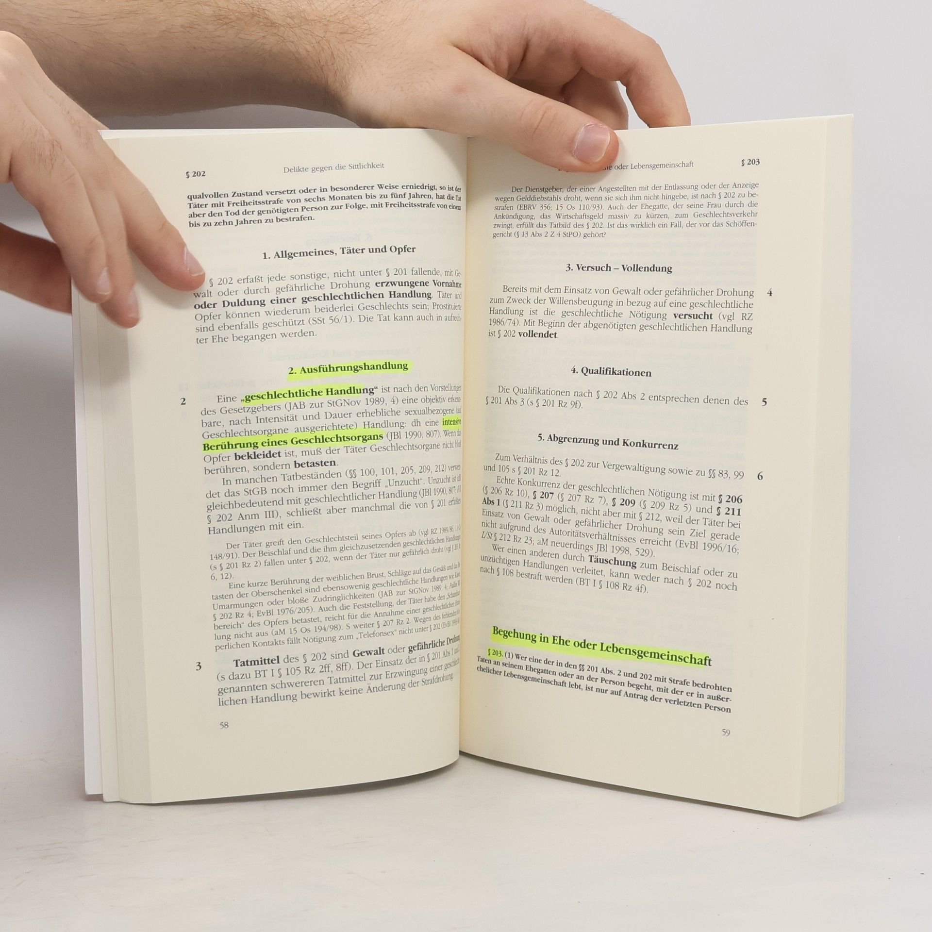 Christian Bertel Springers Kurzlehrbücher der Rechtswissenschaft: Österreichisches Strafrecht Besonderer Teil II