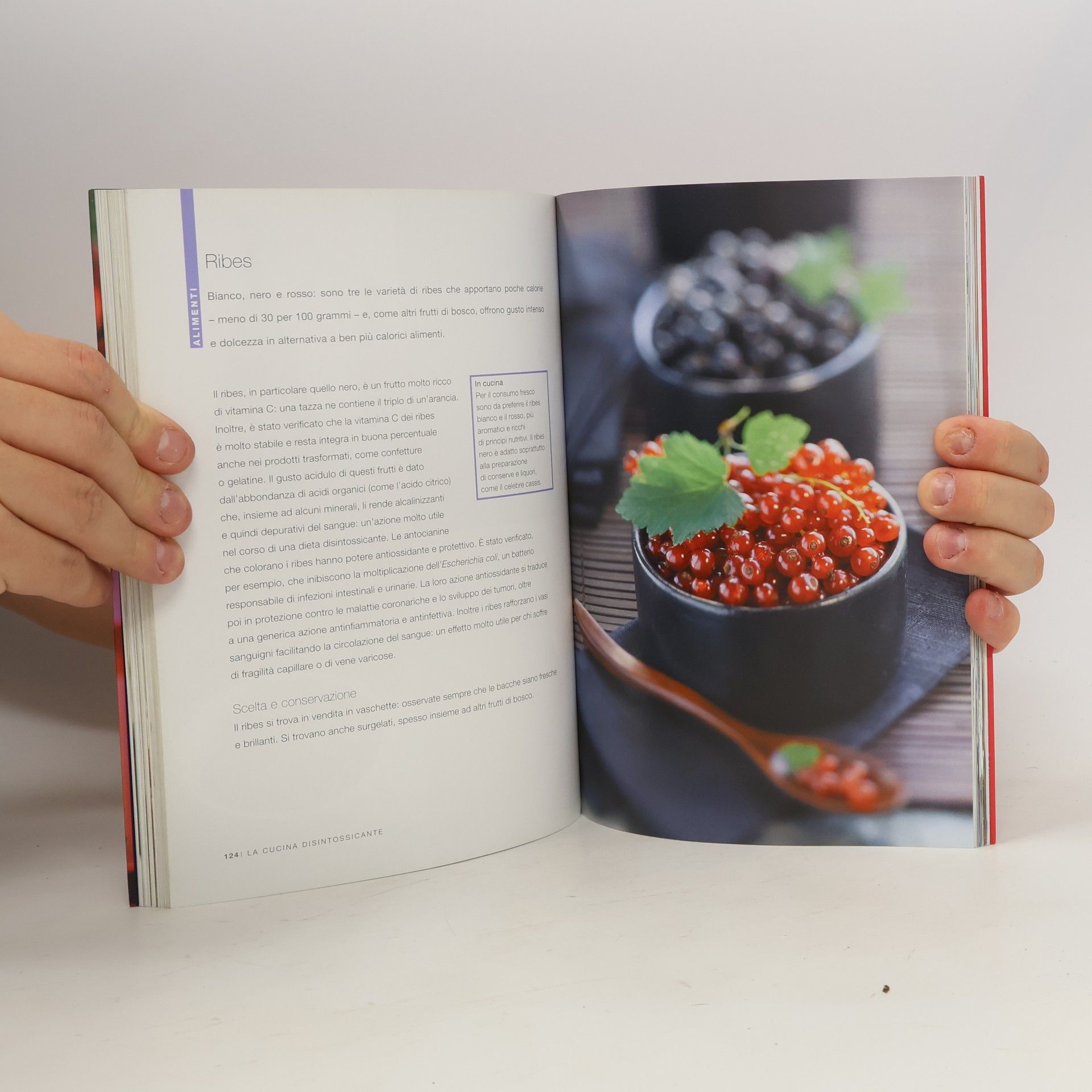 Autorenkollektiv I manuali del benessere 6