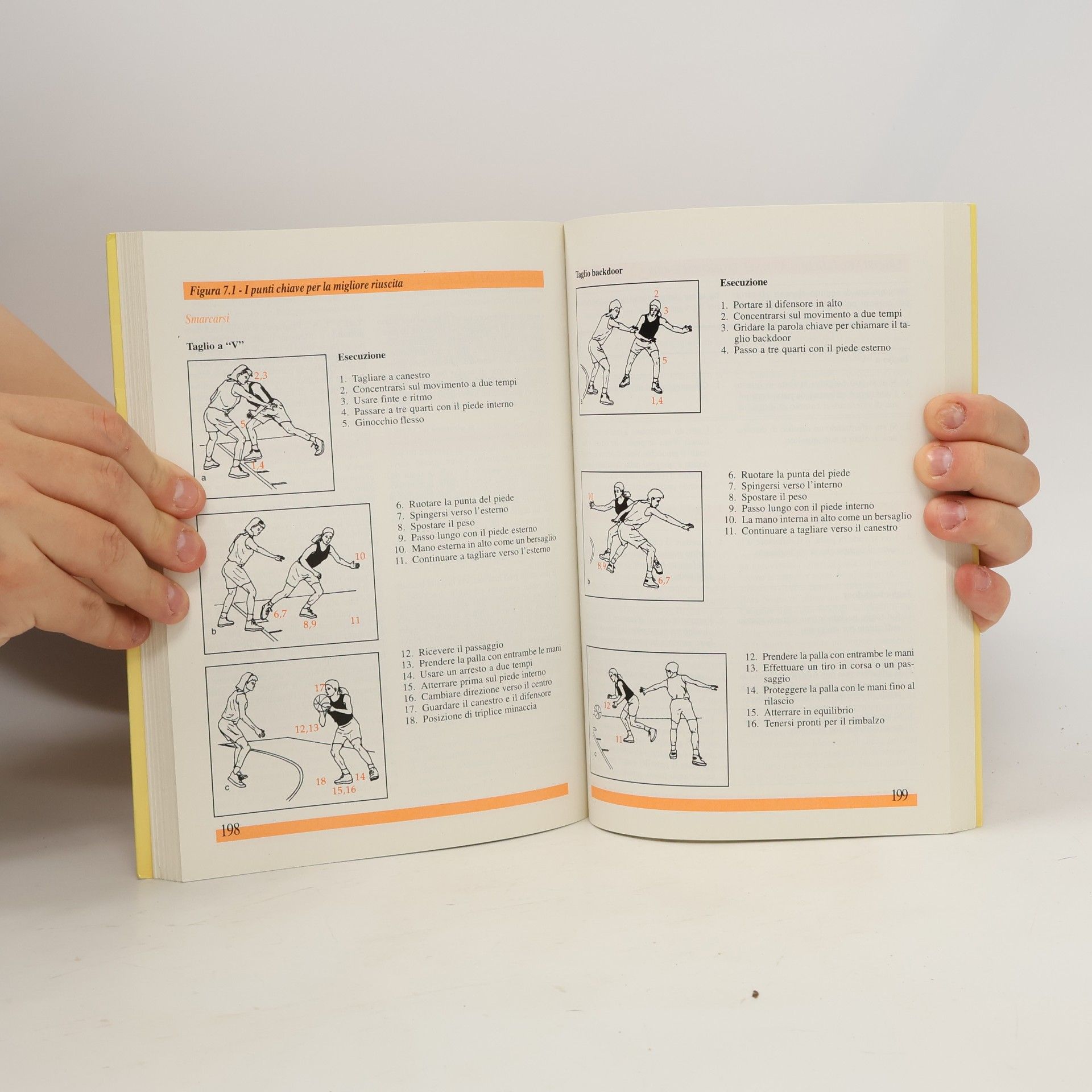 Hal Wissel Basketball. Steps to Success. Manuale di istruzione di base per allenatori e giocatori