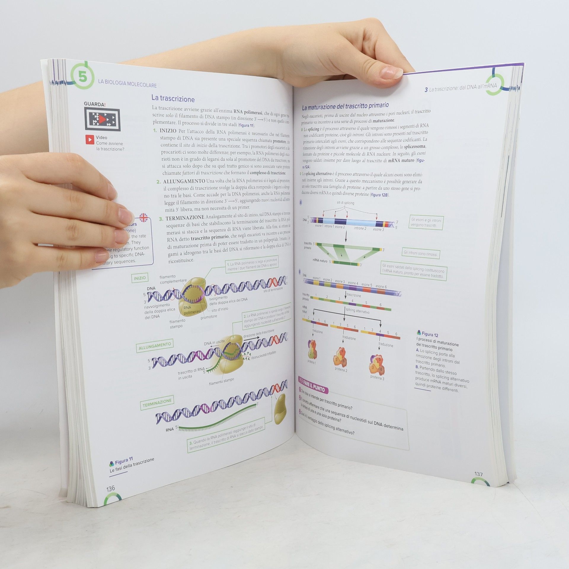 Simonetta Klein Il racconto delle scienze naturali. Seconda edizione. Organica, biochimica, biotecnologie, tettonica delle placche