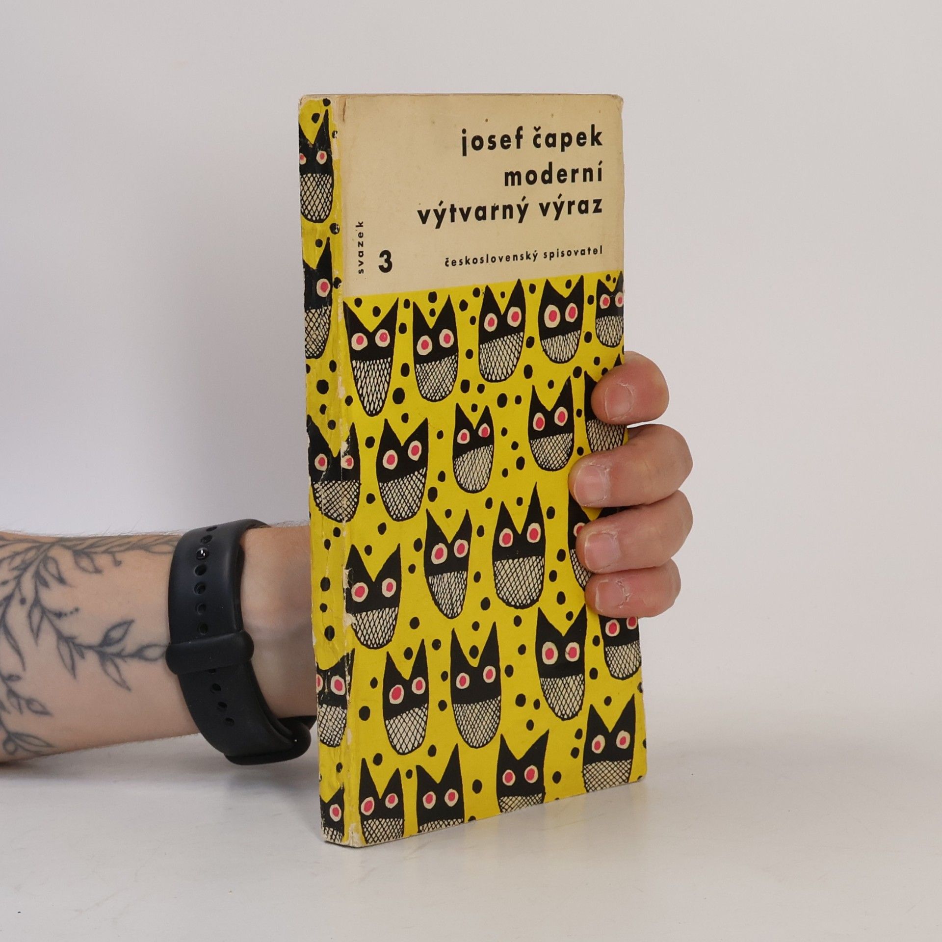 Josef Čapek Moderní výtvarný výraz