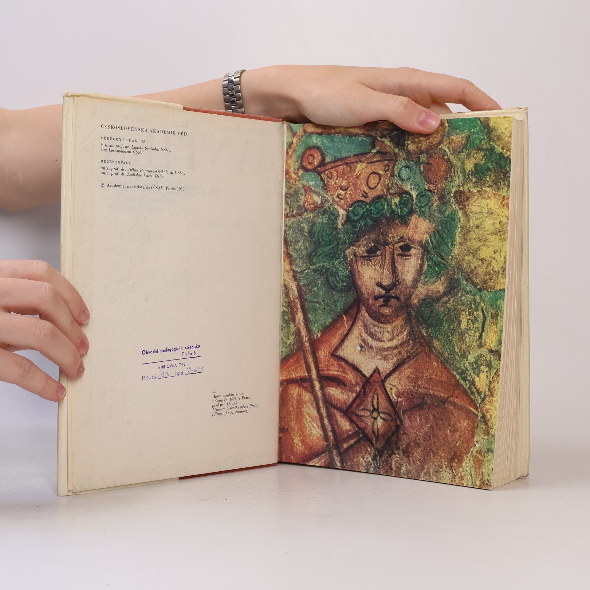 Autorenkollektiv Antika a česká kultura