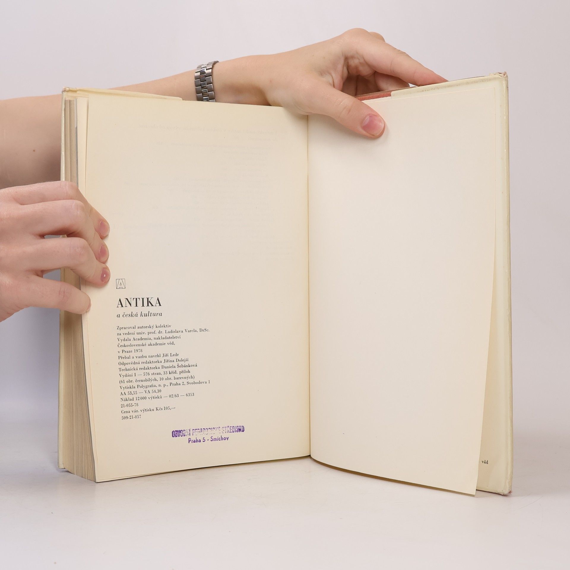 Autorenkollektiv Antika a česká kultura