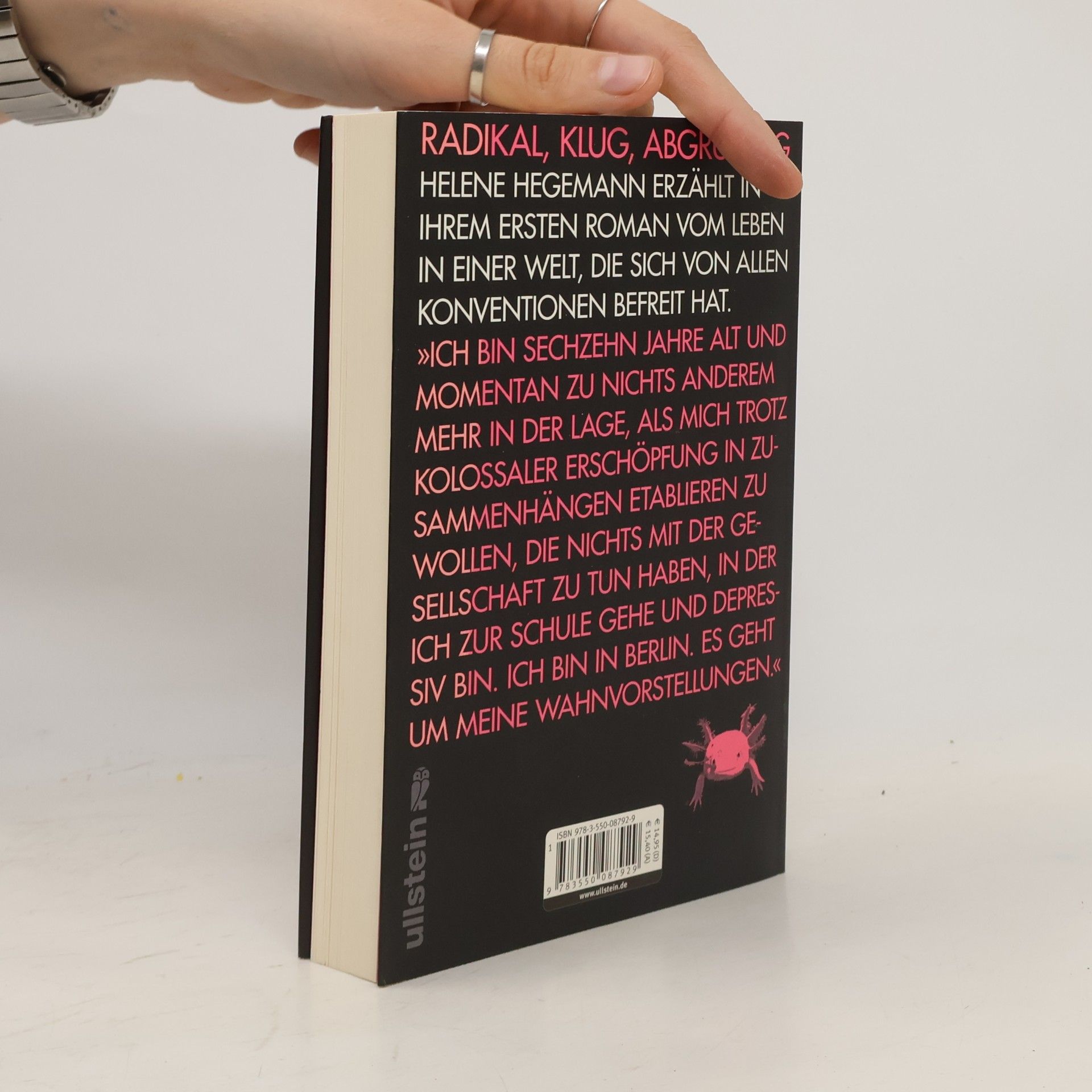 Helene Hegemann Axolotl Roadkill : Roman