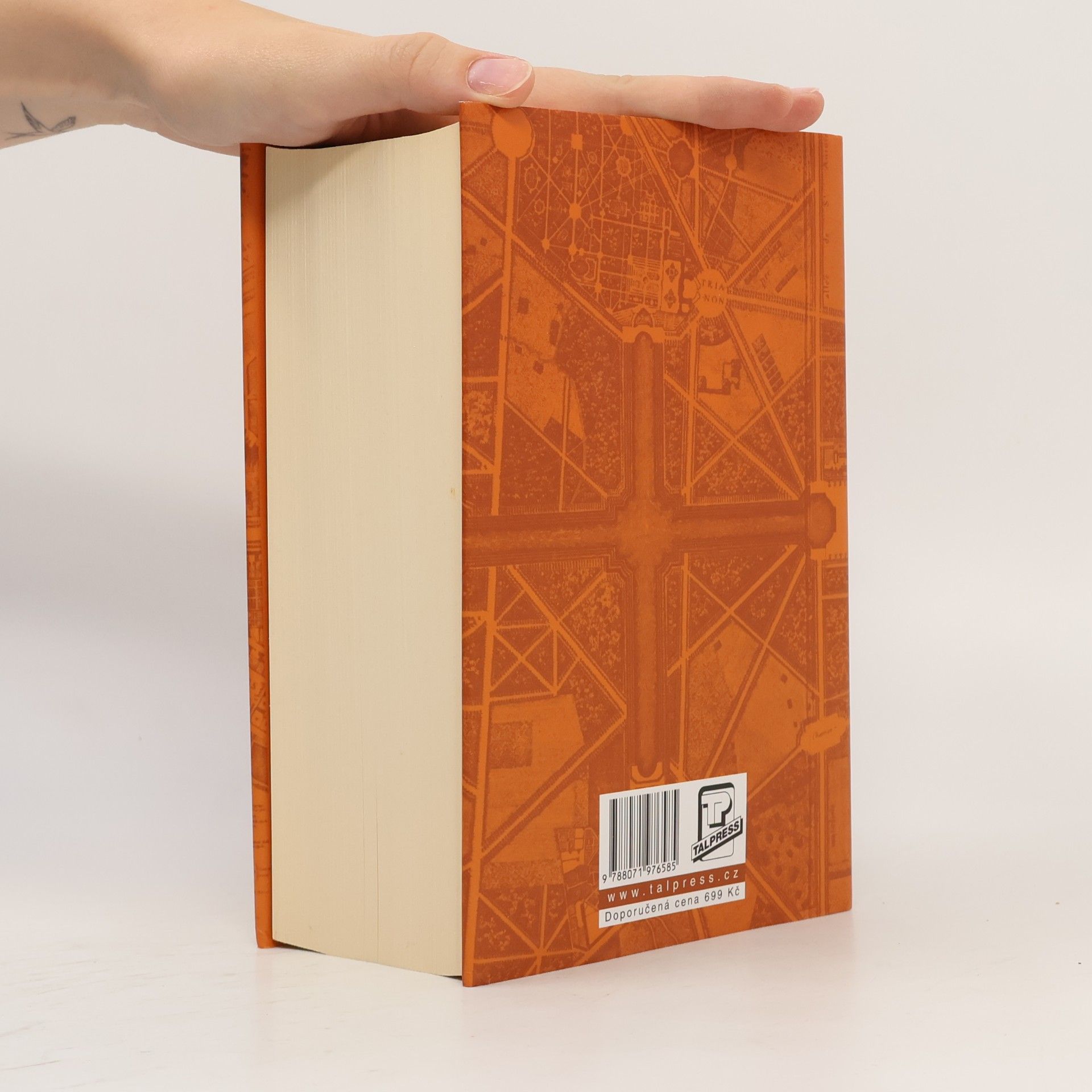 Neal Stephenson Zmatení