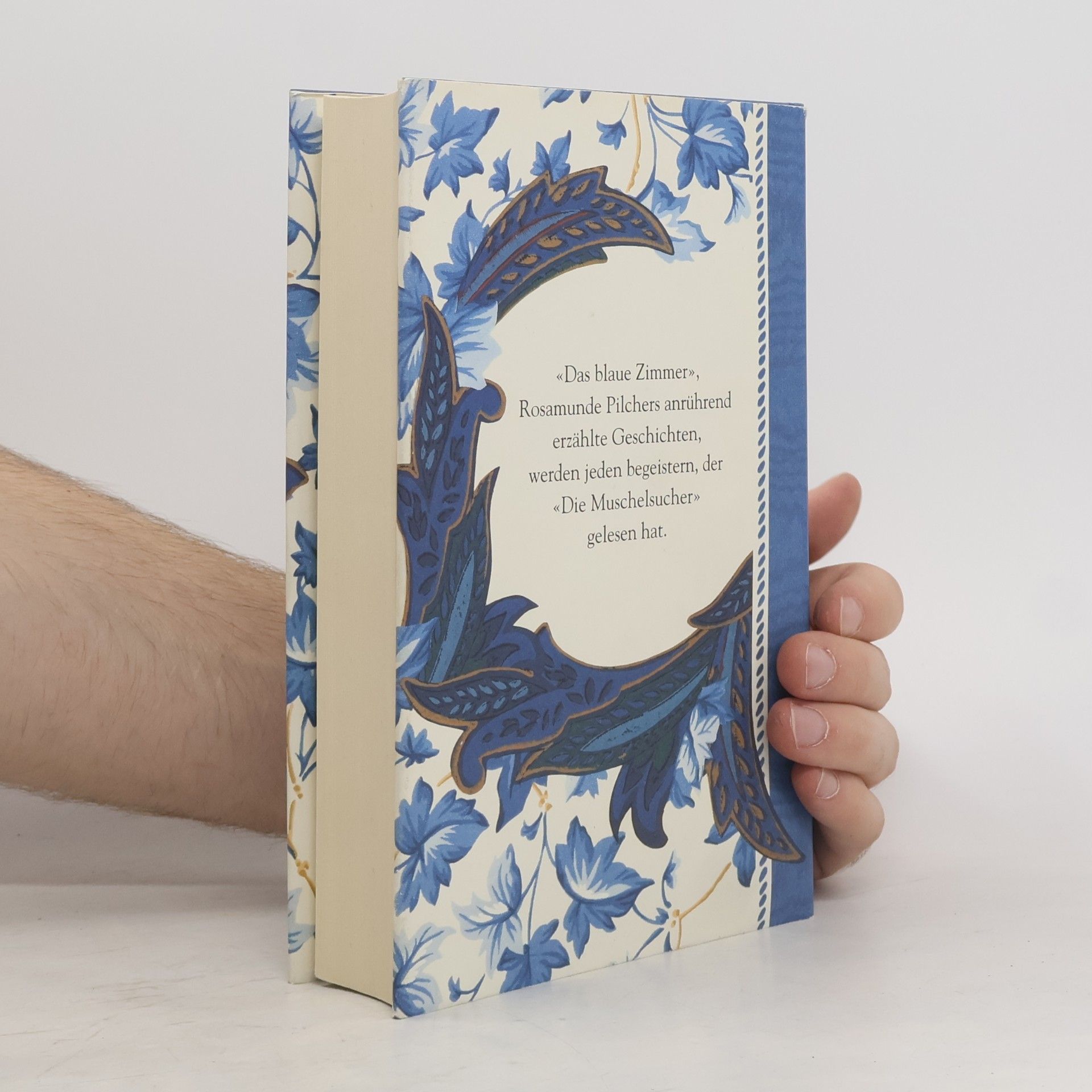 Rosamunde Pilcher Das blaue Zimmer