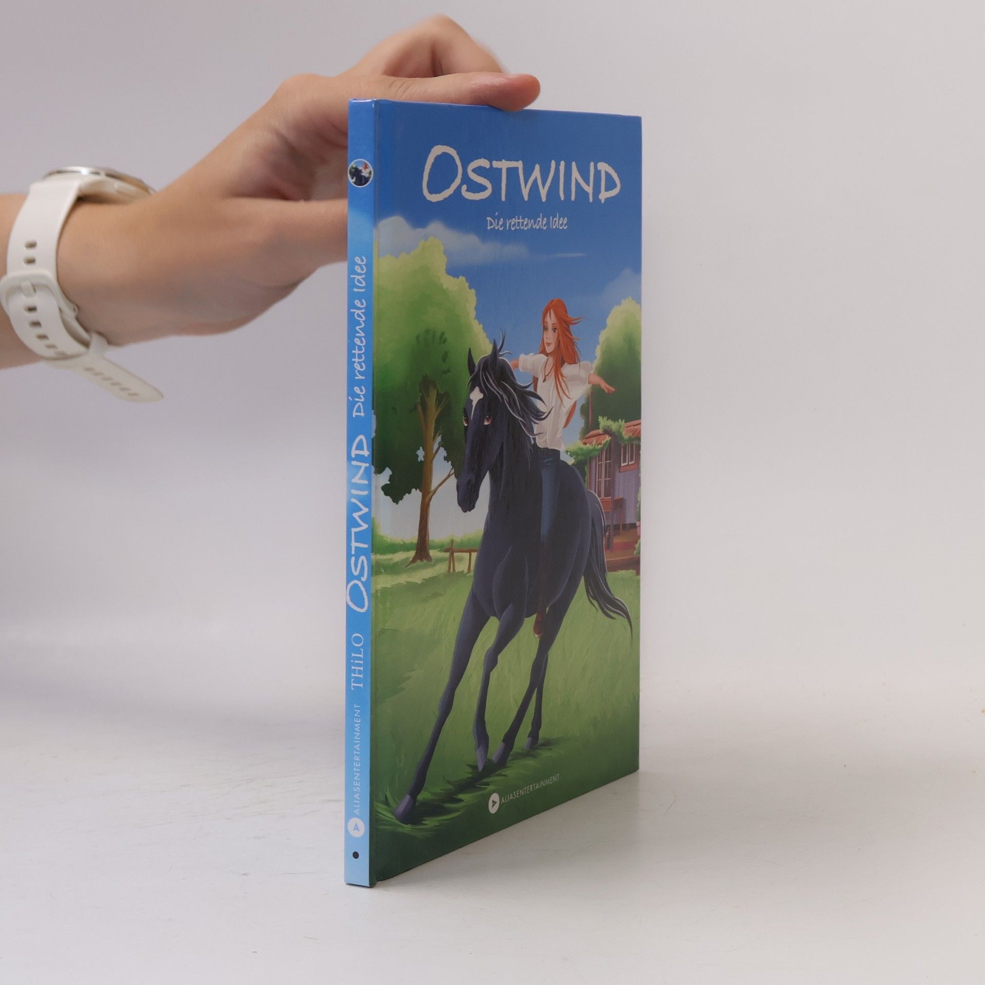Thilo Petry-Lassak Ostwind - die rettende Idee